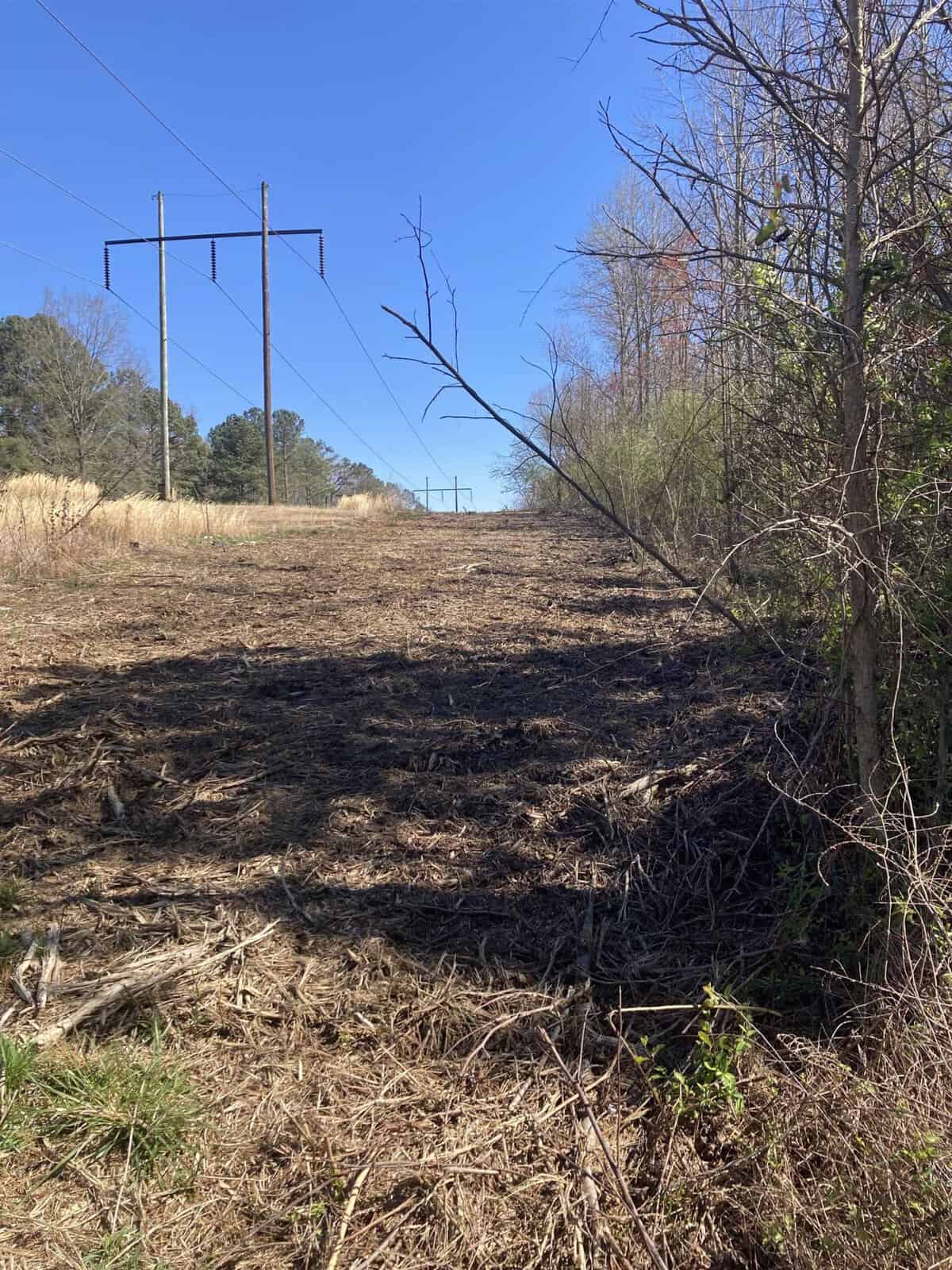 A barren field with burnt vegetation under a clear blue sky, flanked by bushes and trees on the sides, with overhead power lines visible in the background.