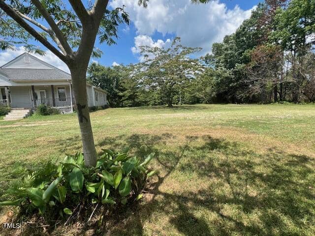 A large grassy yard with a few scattered trees, adjacent to a white house with a covered porch and steps leading up to the entrance. There is a plant growing near the base of one tree. The sky is partly cloudy, allowing some sunlight to cast shadows on the ground.