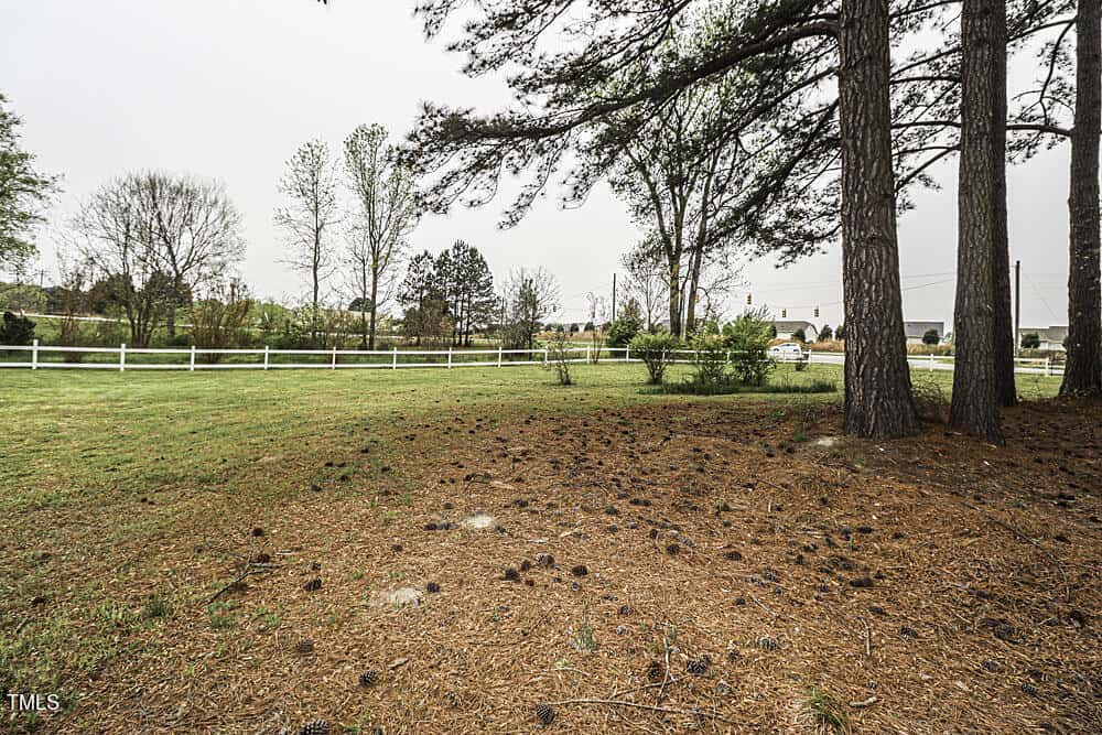 A view of a grassy area scattered with patches of dirt, lined by tall pine trees on the left and a white fence in the background, under a cloudy sky.