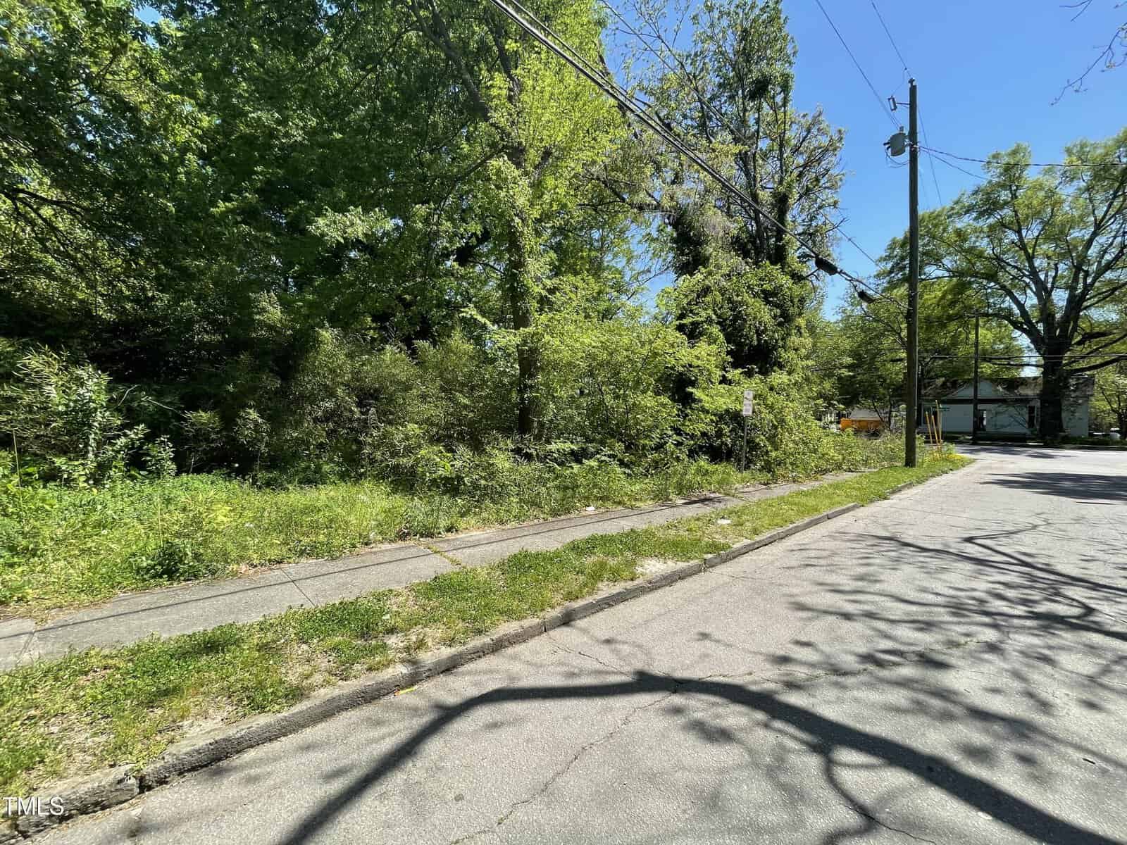 A sunny suburban street with visible shadows of trees and power lines, featuring an overgrown vacant lot with dense green foliage on the left side bordered by a sidewalk.