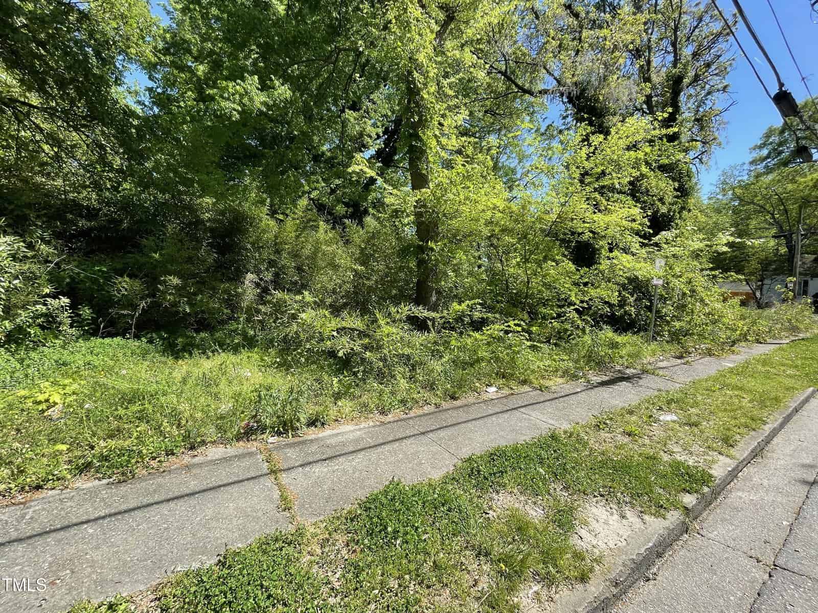 A vibrant, green overgrown area beside a sidewalk at 403 Andrews Avenue in Henderson, NC with lush trees and bushes under a bright sunlit sky, showcasing nature reclaiming urban space.