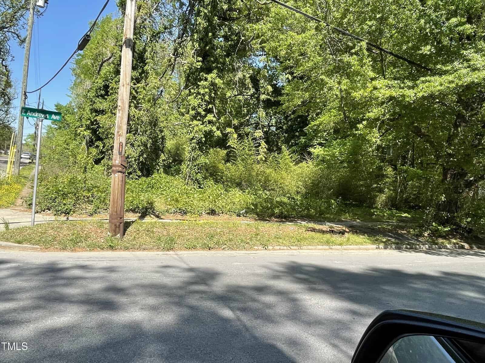 Street view image showing a corner with lush green trees and bushes. a utility pole is on the left, and the edge of a car's side mirror is visible on the right.