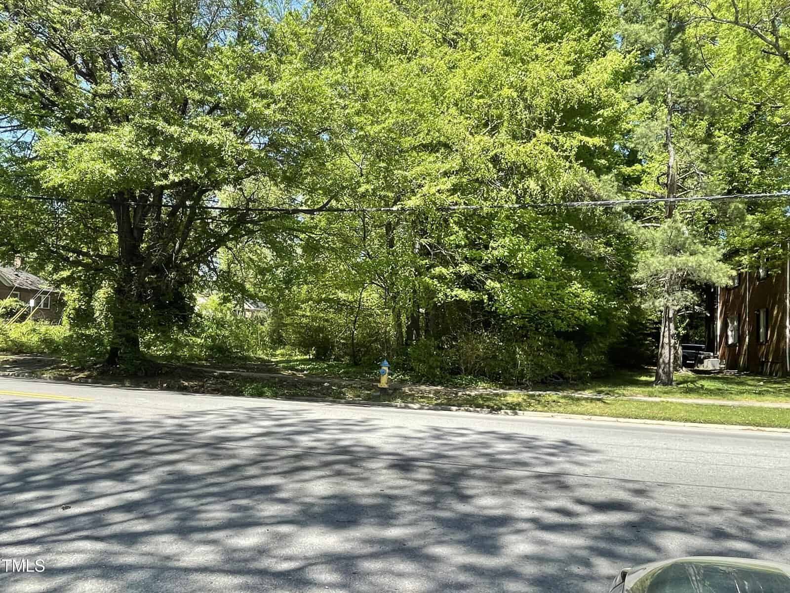 A suburban street scene featuring a dense green tree line and shrubbery on the side of a road with a glimpse of a wooden structure peeking from behind the trees under a clear blue sky.