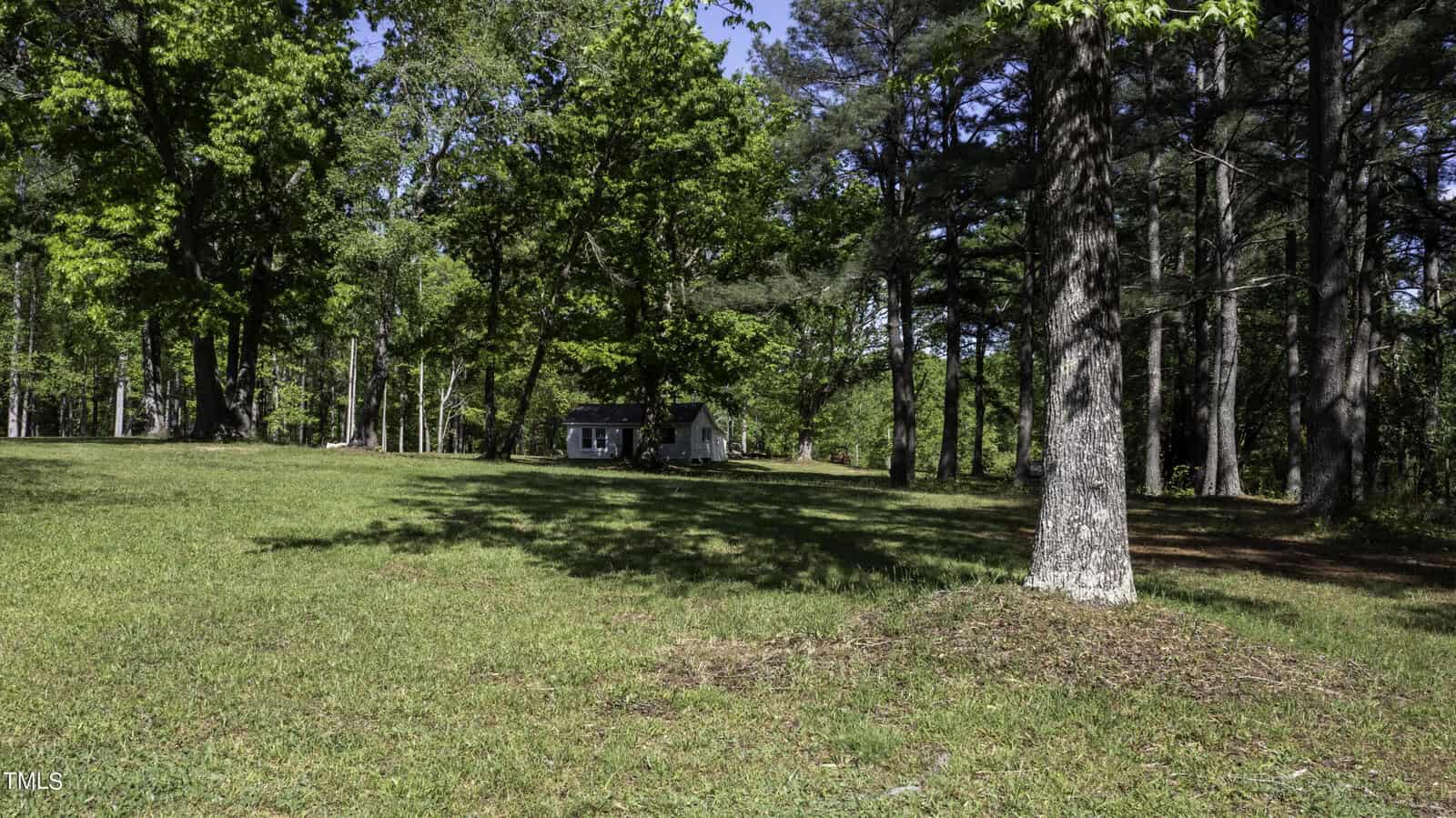 A small house is nestled among tall trees and surrounded by lush, green grass on a sunny day. The area is shaded by large, mature trees, casting dappled shadows across the landscape.