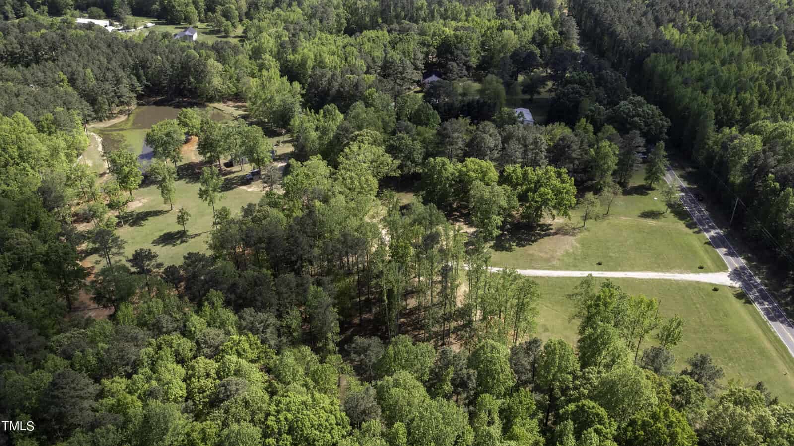 Aerial view of a lush, green forested area with several small clearings and a few houses scattered throughout. A winding road runs along the right side, surrounded by dense trees. Bright sunlight highlights the vibrant greenery.