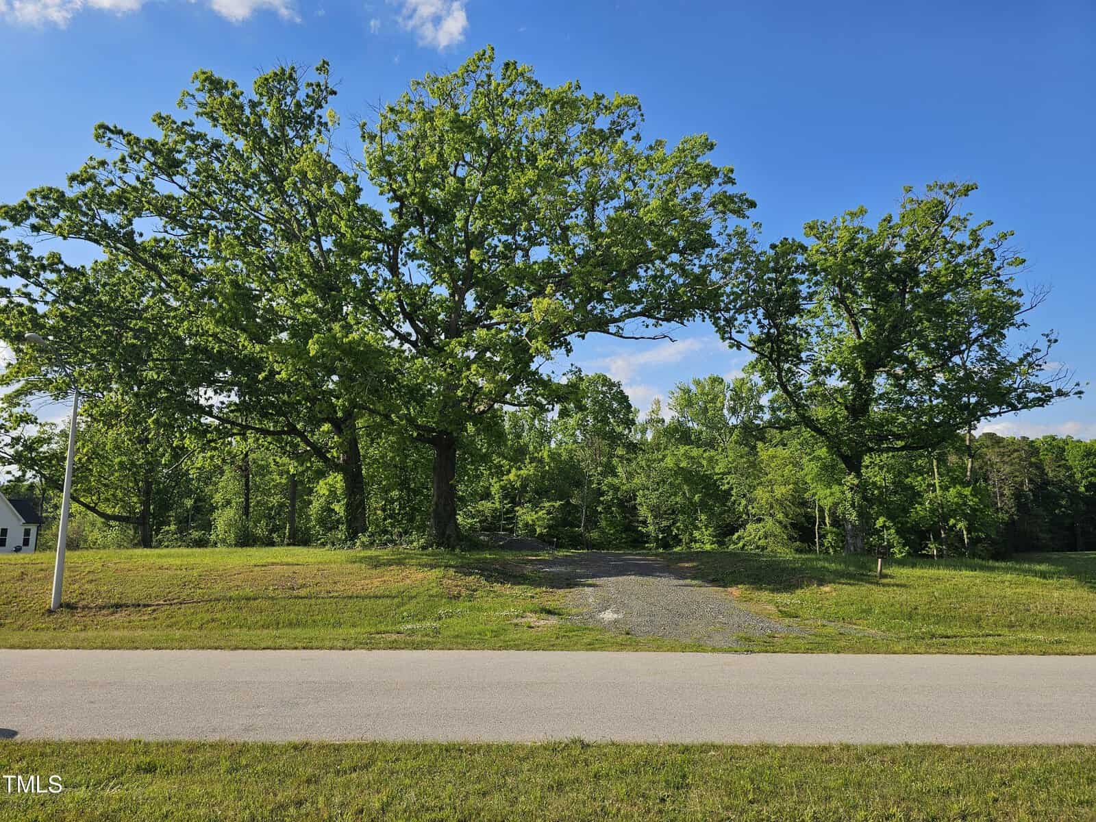 A serene setting featuring a wide gravel pathway leading through a lush, green park bordered by large, mature oak trees under a bright blue sky.