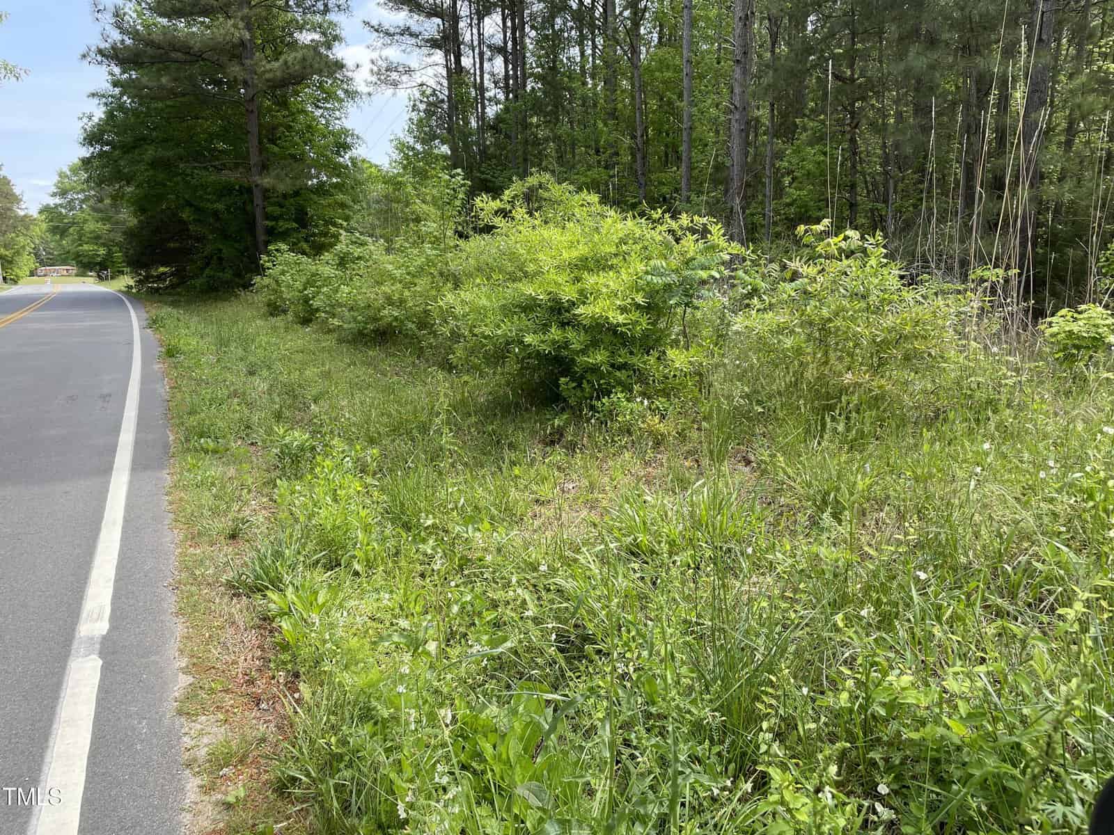A paved road runs alongside a lush, green area on 00 N Chavis Road in Kittrell, filled with a variety of bushes, trees, and tall grasses. The forested area is dense with foliage, and the road curves gently out of view. The sky is clear, indicating a sunny day.