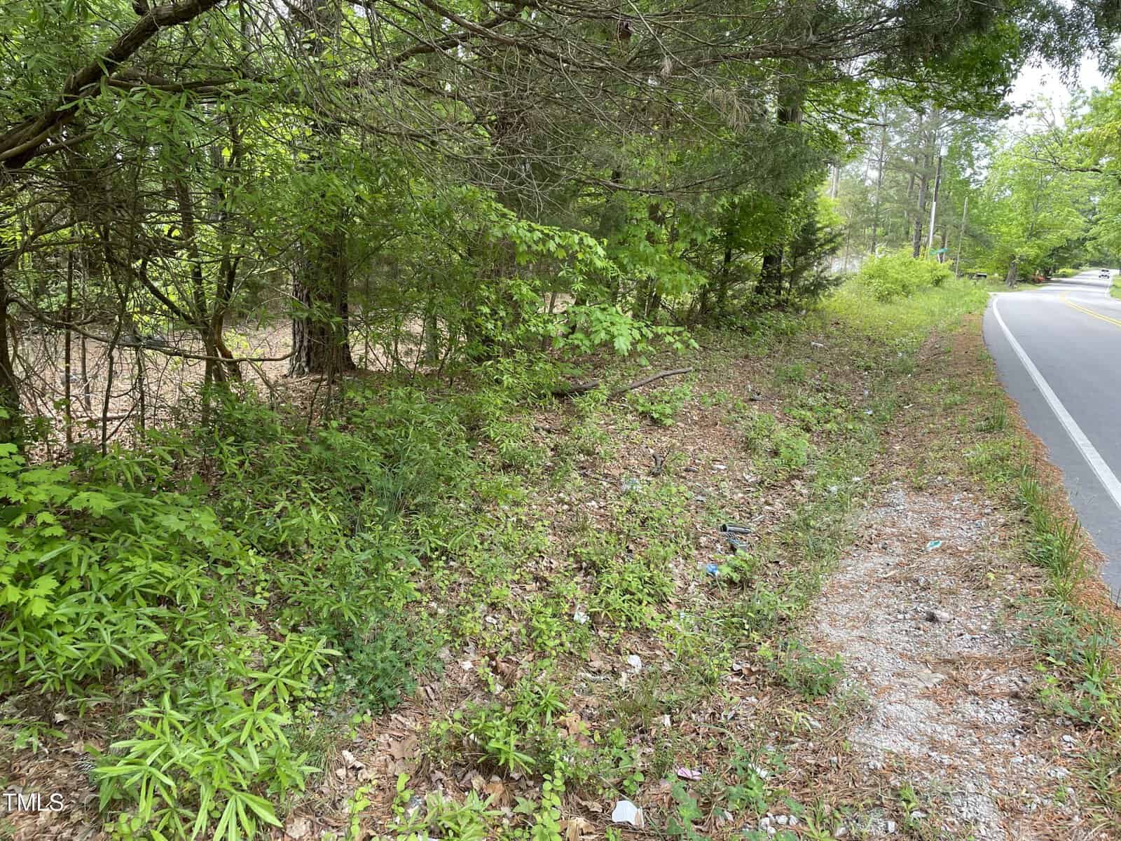 A grassy roadside lined with dense greenery and trees. The road curves gently to the right, with a mix of grass, leaves, and small plants covering the ground next to the road. The scene is tranquil and surrounded by nature.