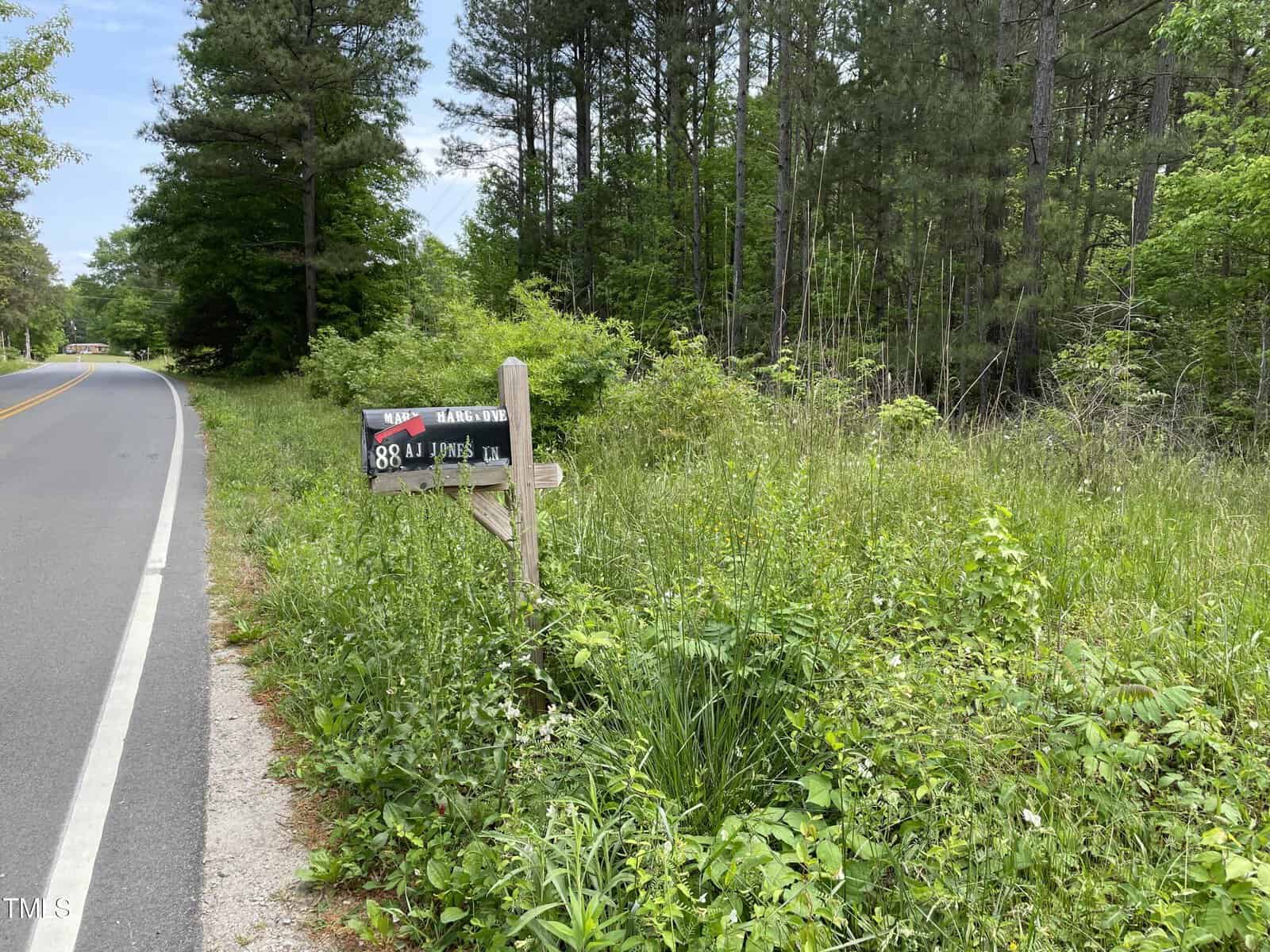 A mailbox marked with "88 Adams BLFS" stands at the edge of a wooded area next to a rural road. The mailbox is surrounded by tall grass and greenery, with dense trees visible in the background.