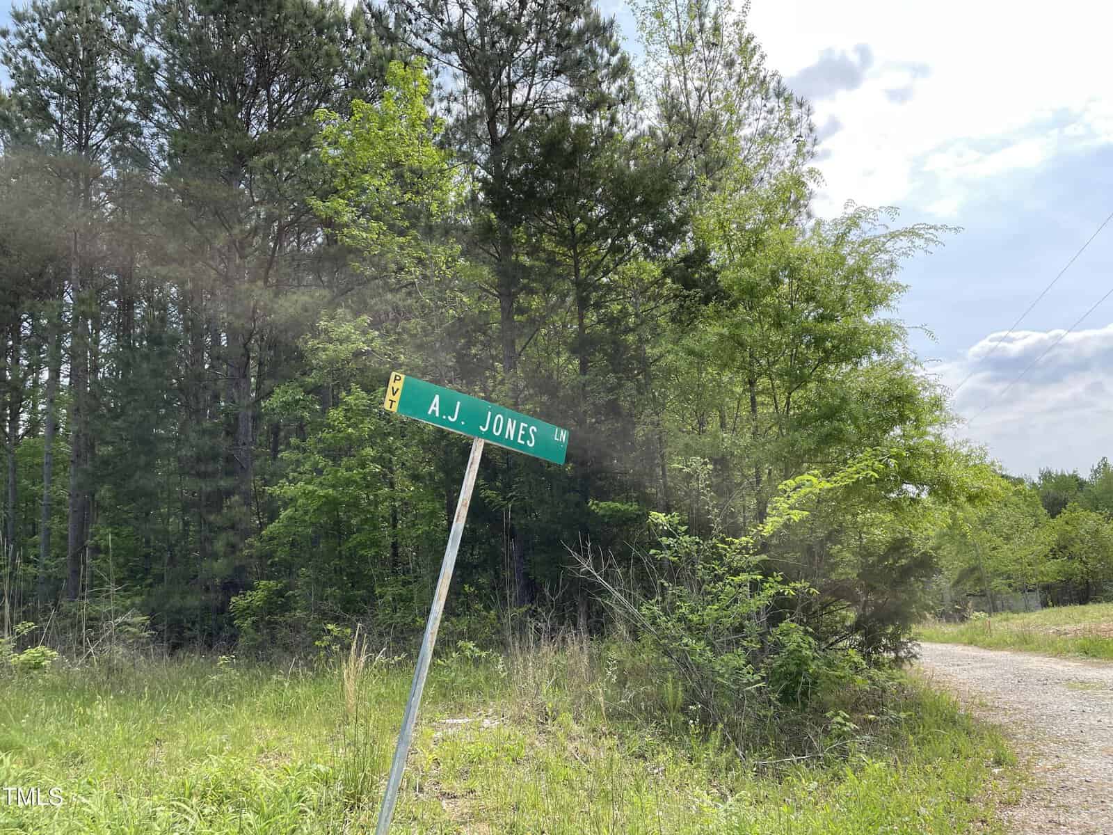 A slightly tilted street sign reads "A.J. Jones Ln" in green lettering and stands amidst tall green grasses and overgrown vegetation. Trees fill the background under a partly cloudy sky. A dirt road is visible to the right.