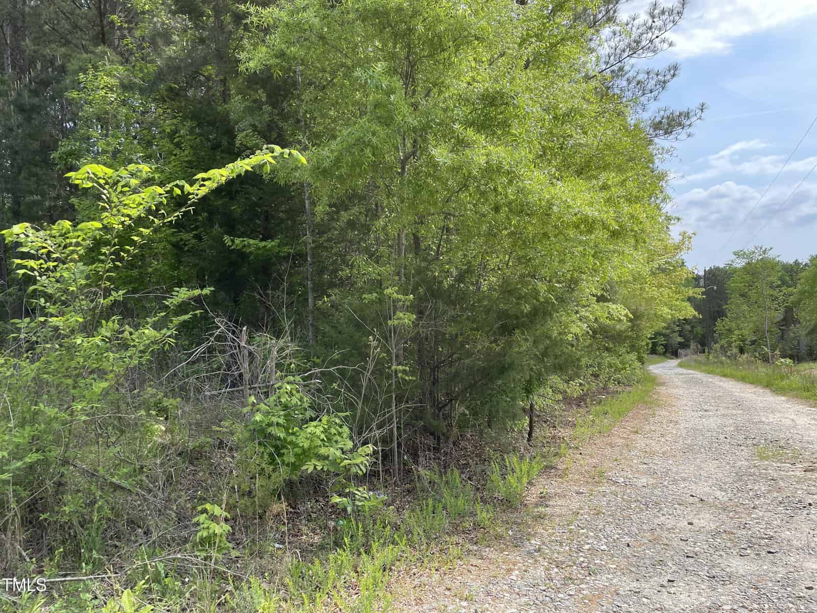 A narrow gravel path curves adjacent to a dense forest of tall green trees and underbrush. The sky above is partly cloudy, allowing sunlight to filter through the foliage, casting light and shadows on the path and surrounding greenery.