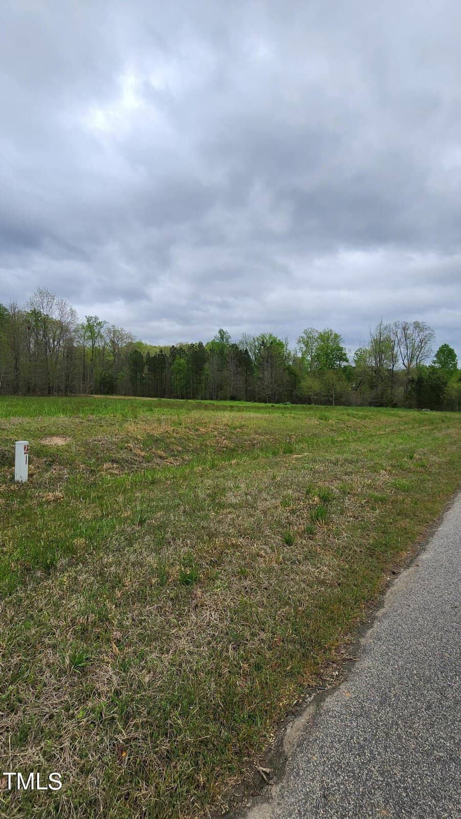 A rural landscape featuring a grassy field with scattered trees under a cloudy sky, viewed from a paved road.