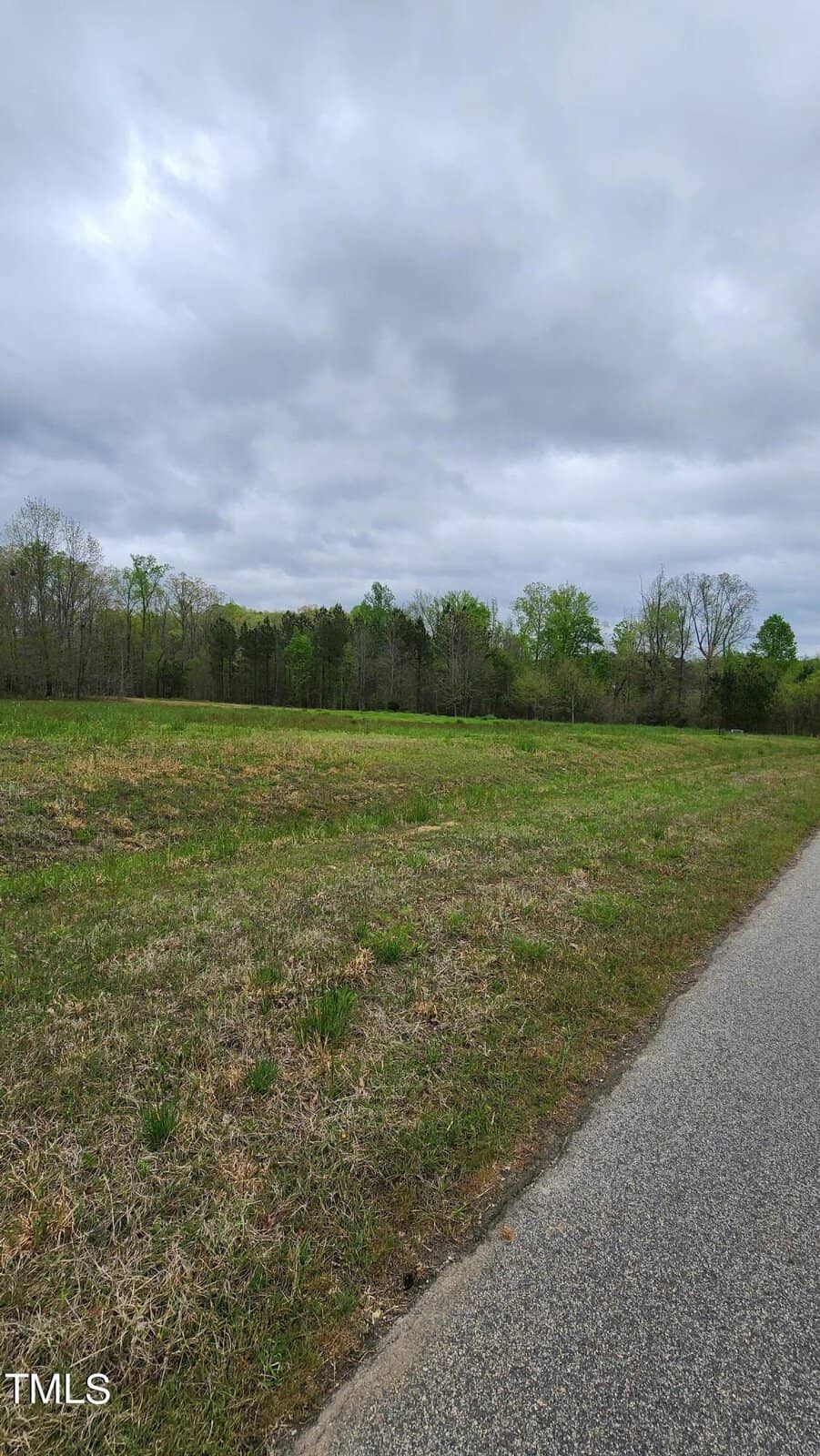 A rural landscape featuring a grassy field with scattered trees under a cloudy sky, next to a paved road on the right.