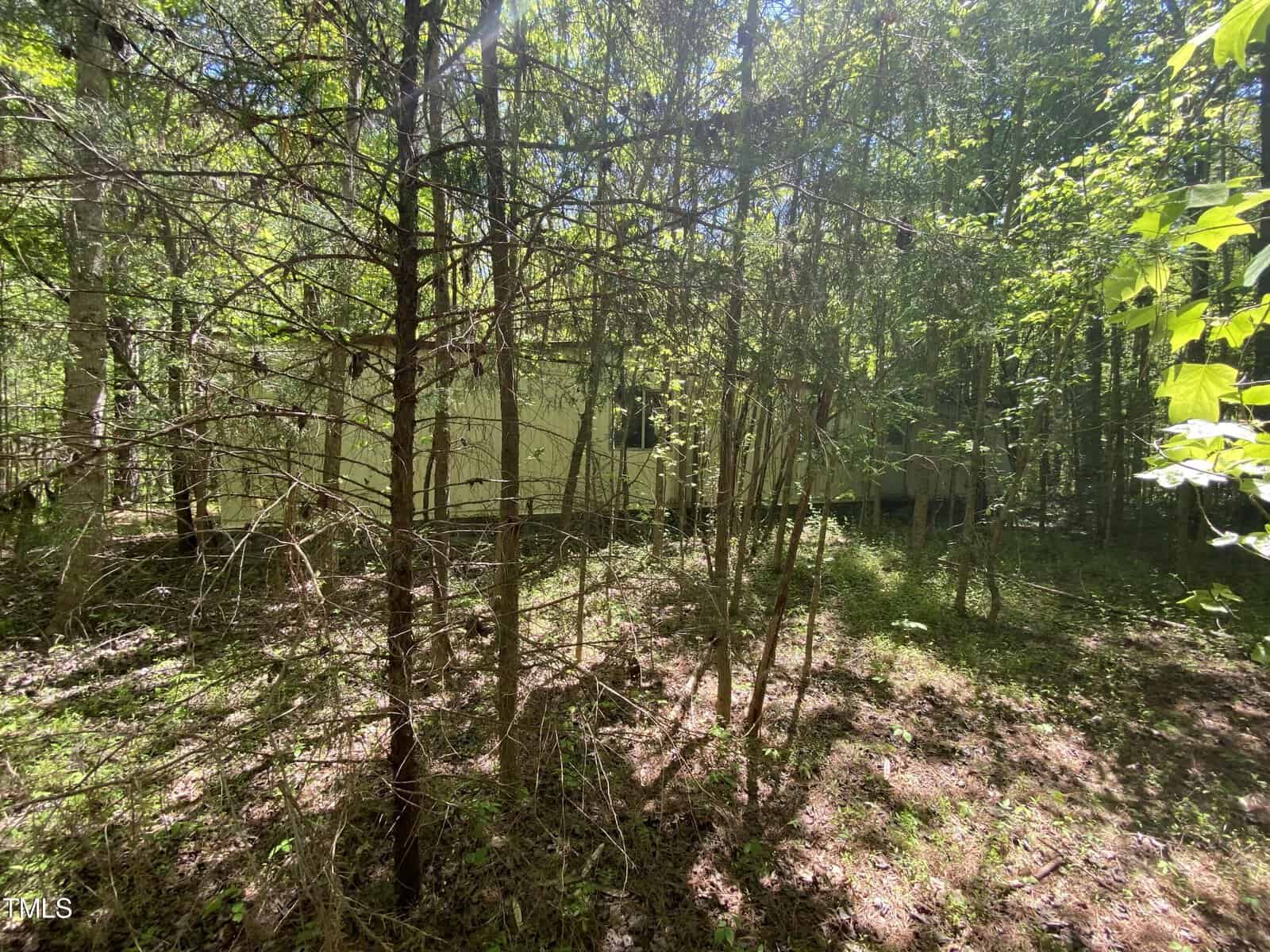 A cabin is partially hidden among dense trees and underbrush in a forest. Sunlight filters through the foliage, creating dappled shadows on the ground.