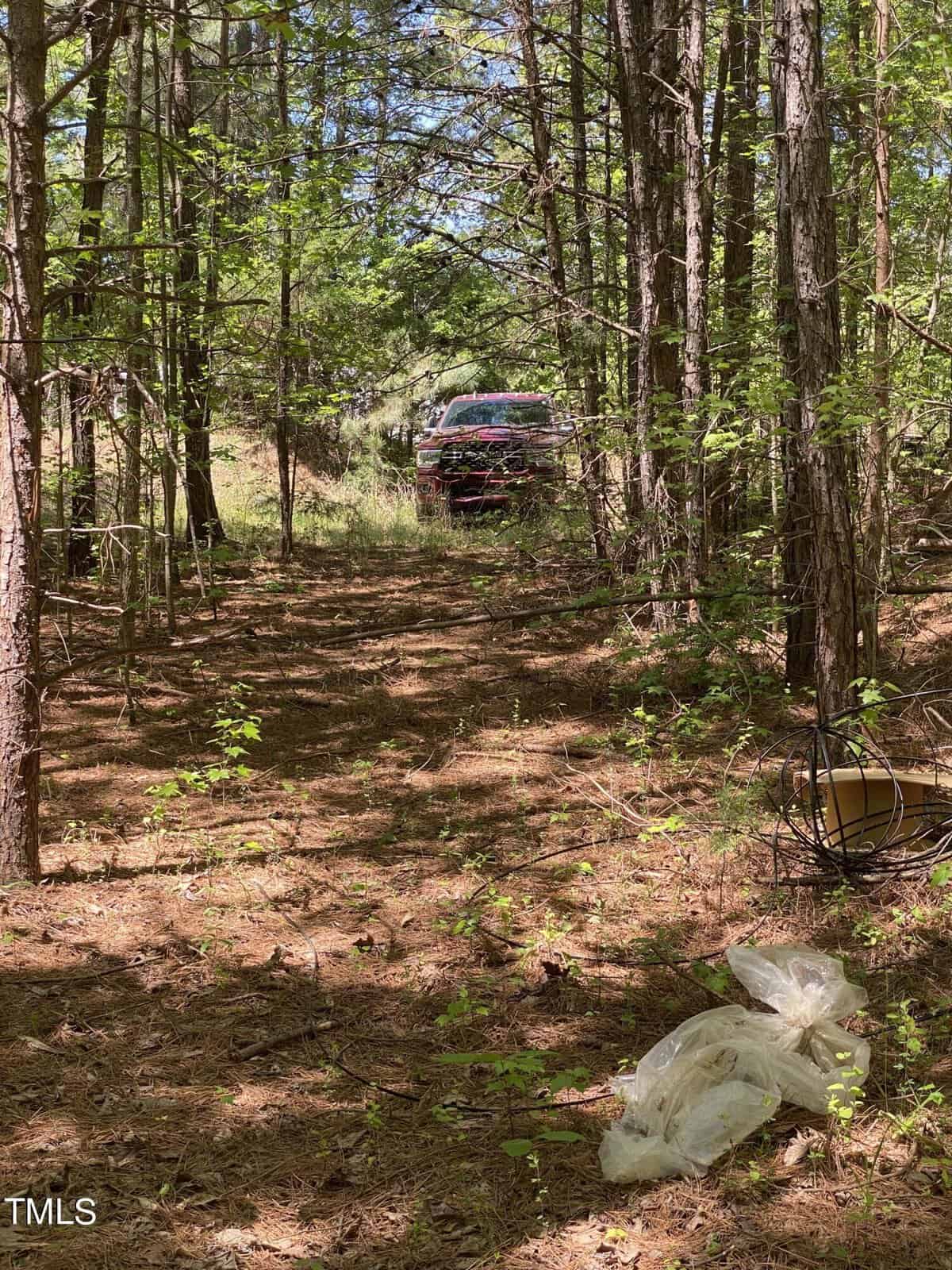 A red truck is partially visible through dense woods, parked on a narrow dirt path. The foreground has scattered debris, including a coiled wire and clear plastic bags. Sunlight filters through the trees, highlighting patches of greenery.