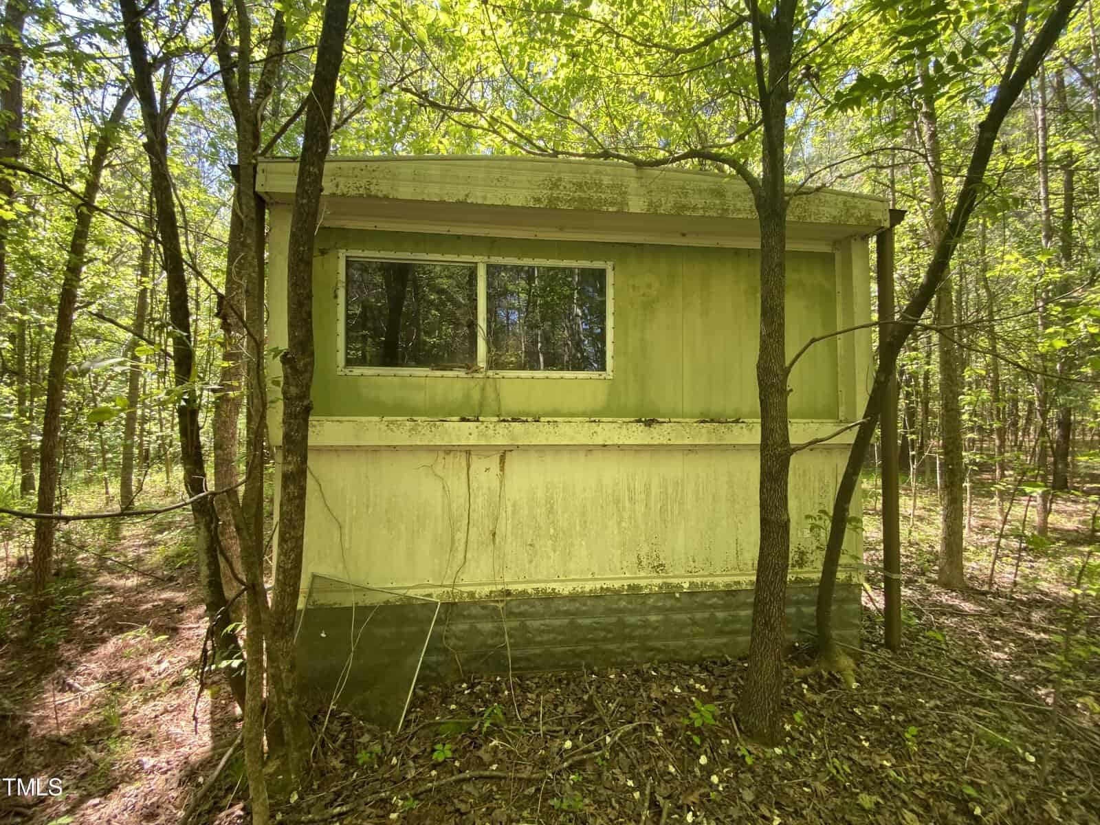 A weathered green shed with a large window stands amidst dense trees and foliage. Sunlight filters through the leaves, casting patches of light on the structure and forest floor.