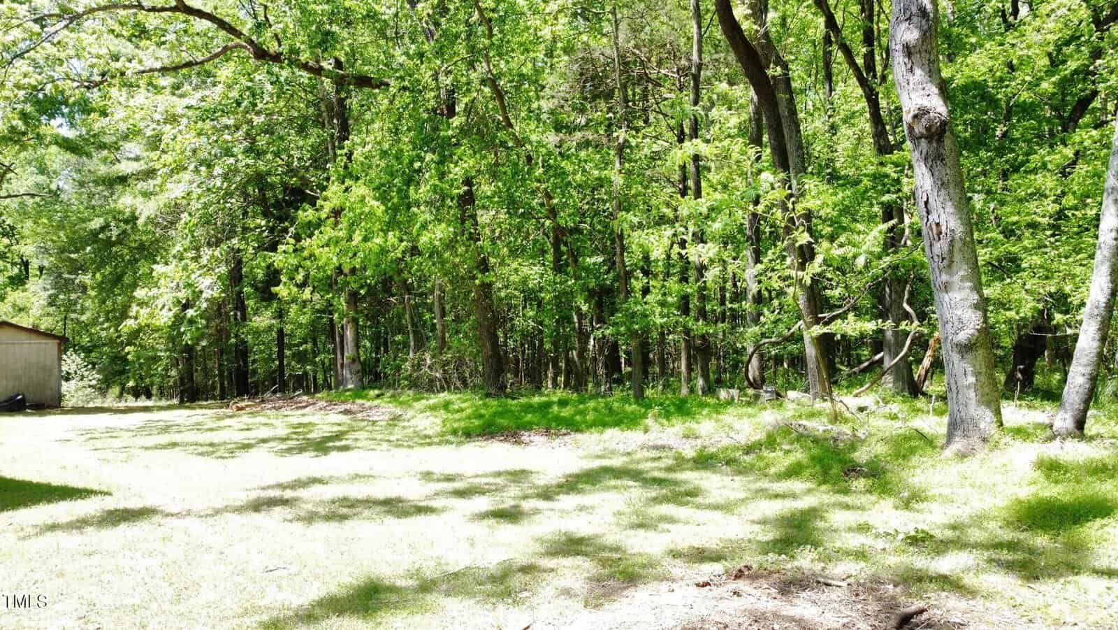 A sunlit forest edge with lush green trees on the right and a grassy clearing on the left. A small section of a wooden structure is visible in the background. Shadows from the trees create a dappled effect on the grass.