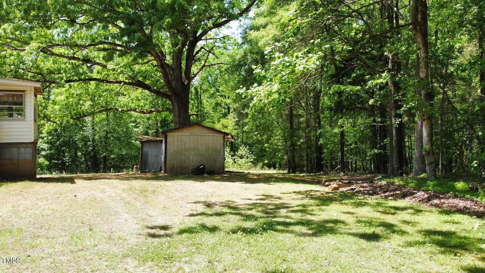 A tranquil backyard scene with a small wooden shed under a large, leafy tree. The area is surrounded by dense green forest, with sunlight filtering through the branches, casting dappled shadows on the grass. A corner of a house is visible on the left.
