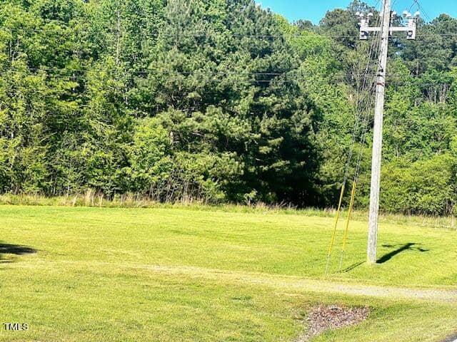 A lush green grassy field with a dirt path leads to a dense forest of tall trees under a clear blue sky. A utility pole with wires runs along the side of the path.