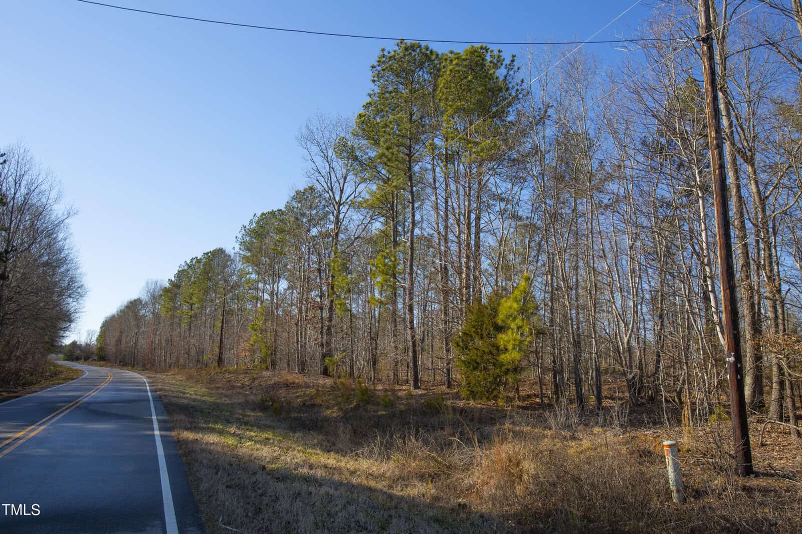 A rural road winds through a sunlit area lined with a mix of tall, bare deciduous trees and evergreens under a clear blue sky.