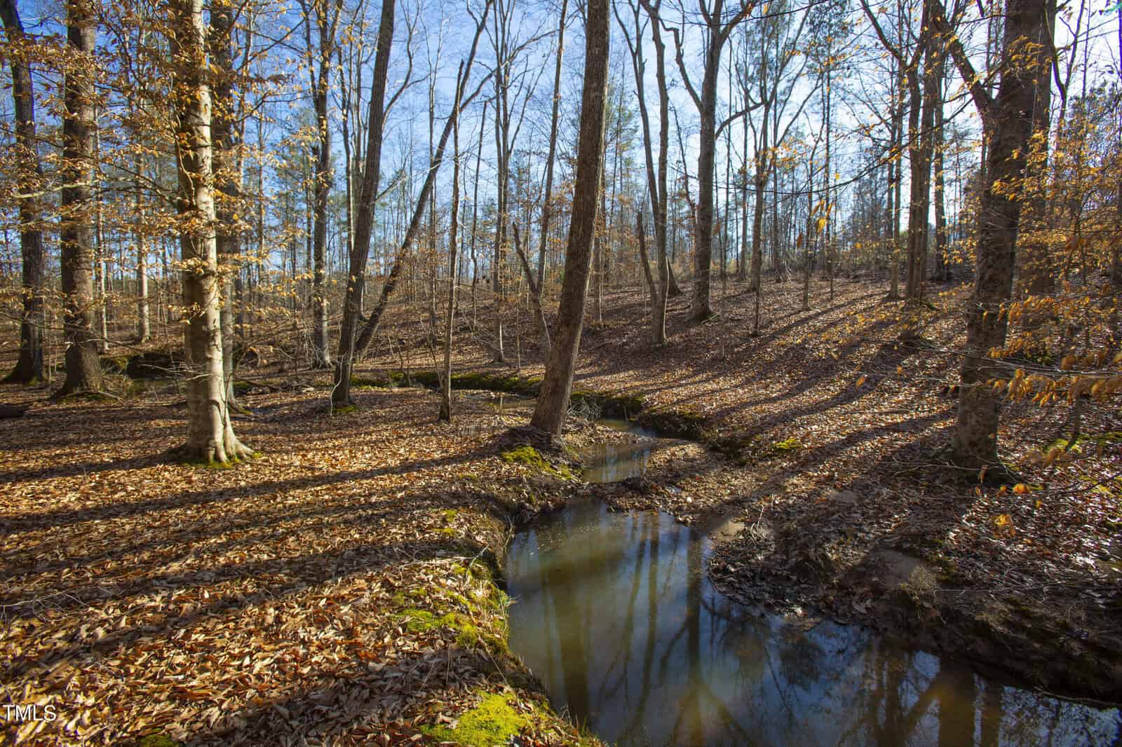 A serene autumn forest scene with a narrow meandering stream, surrounded by trees with golden-brown leaves and a carpet of fallen leaves covering the ground.