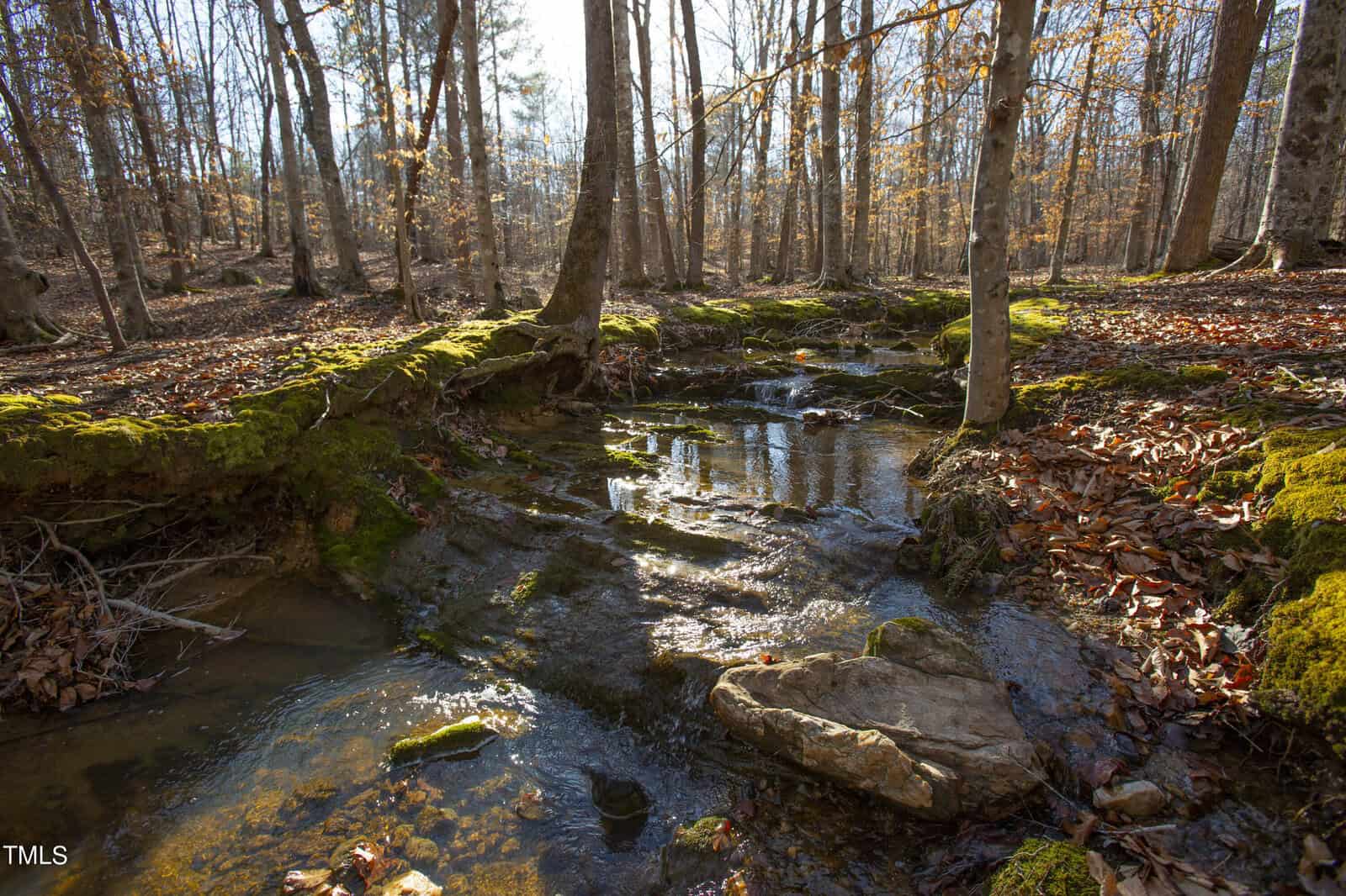 A serene woodland scene at 0 Burnside Road, Henderson NC, with a small, sunlit stream winding through moss-covered rocks and autumnal trees with sparse leaves.