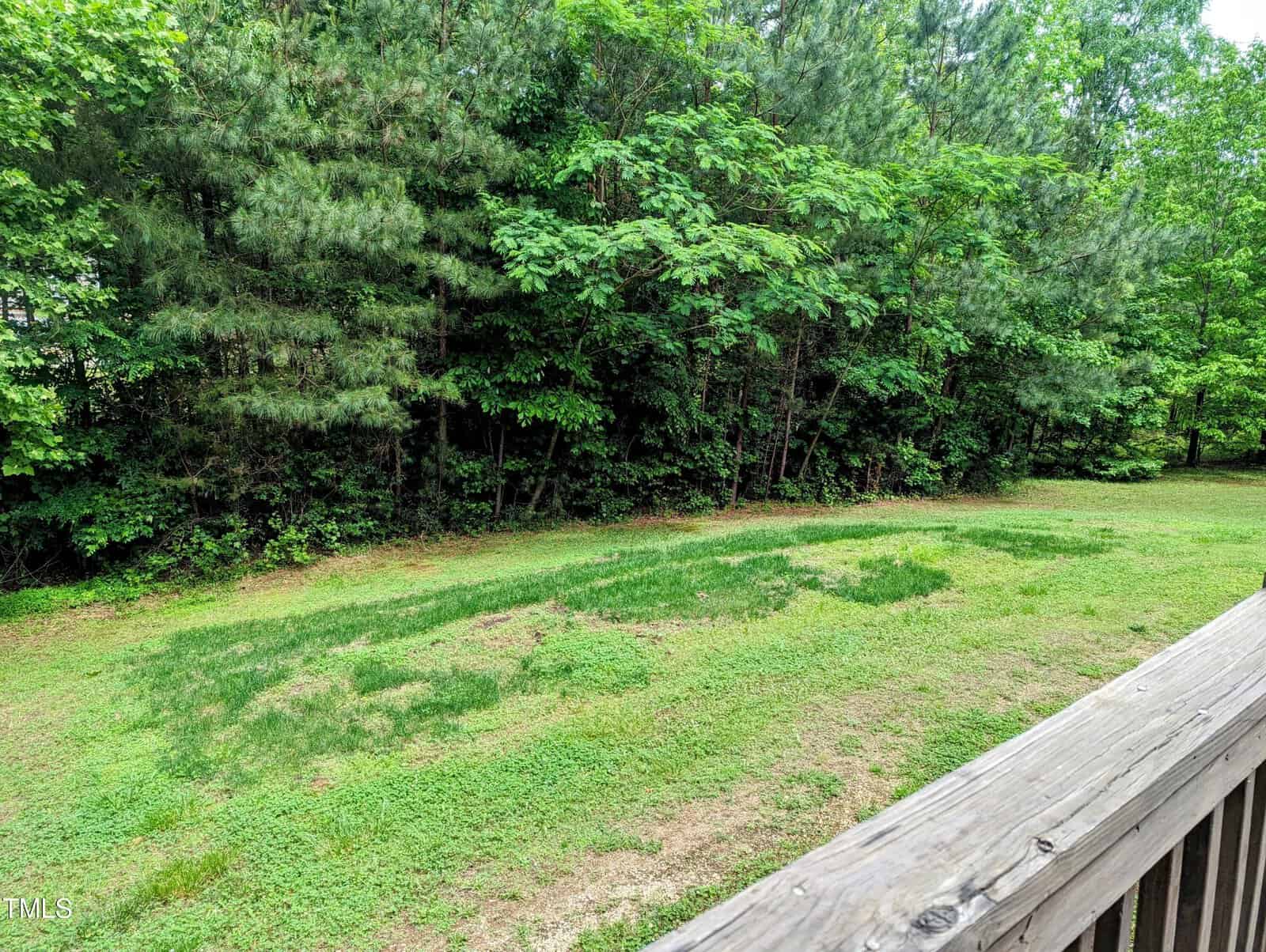 A view of a backyard featuring a grassy lawn and bordered by dense trees with lush green foliage. In the foreground, a wooden railing is visible, suggesting the photo was taken from a deck or porch. The overall scene exudes a peaceful, natural atmosphere.
