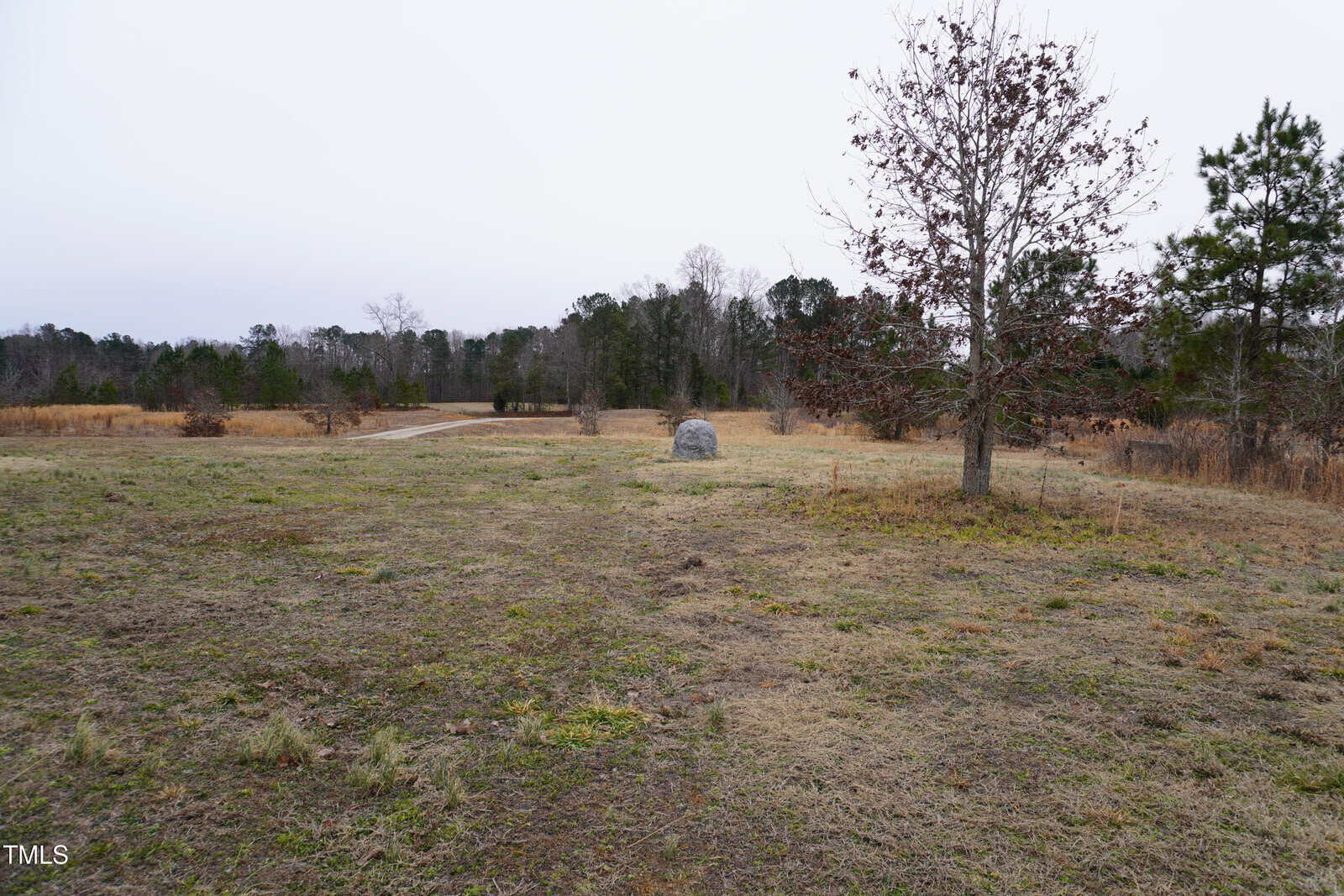 A grassy field with sparse vegetation, featuring a single tree on the right and a boulder nearby. In the background, a line of trees under an overcast sky. The landscape is flat with a mix of grass and bare patches.