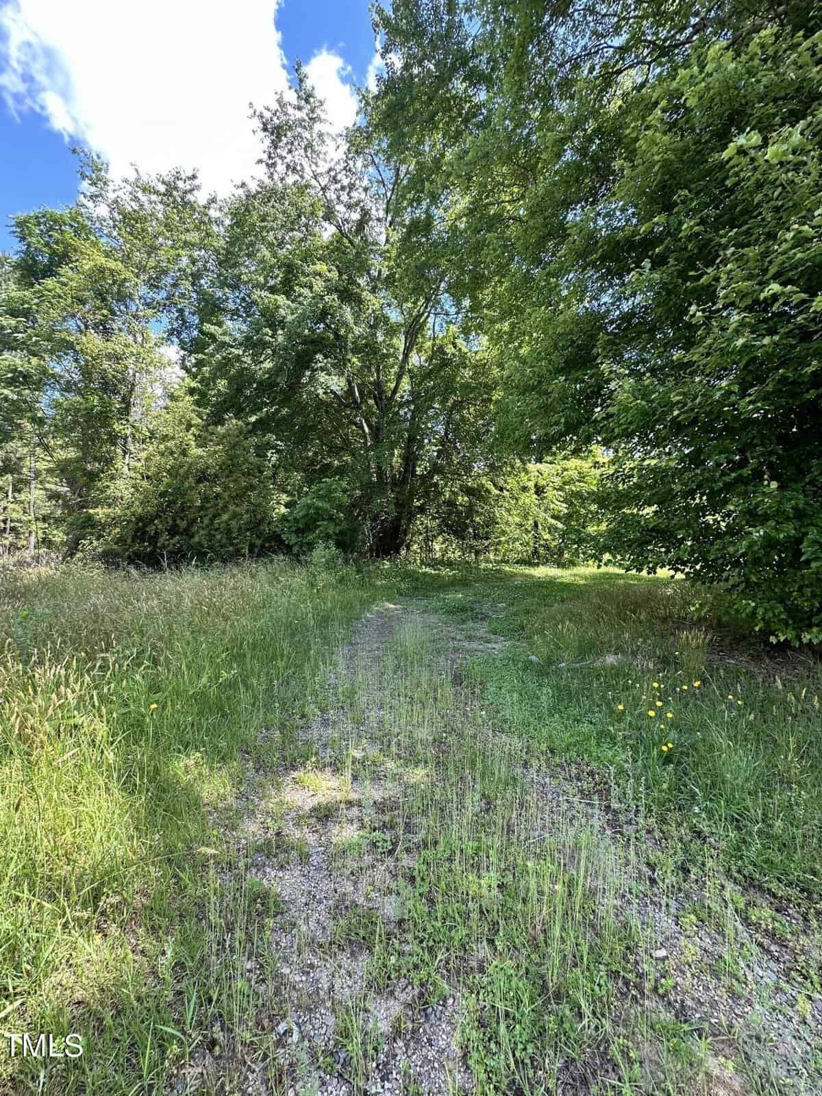 A narrow path runs through lush green grass, bordered by trees. A bright blue sky with fluffy clouds is visible overhead, creating a serene and inviting natural scene.