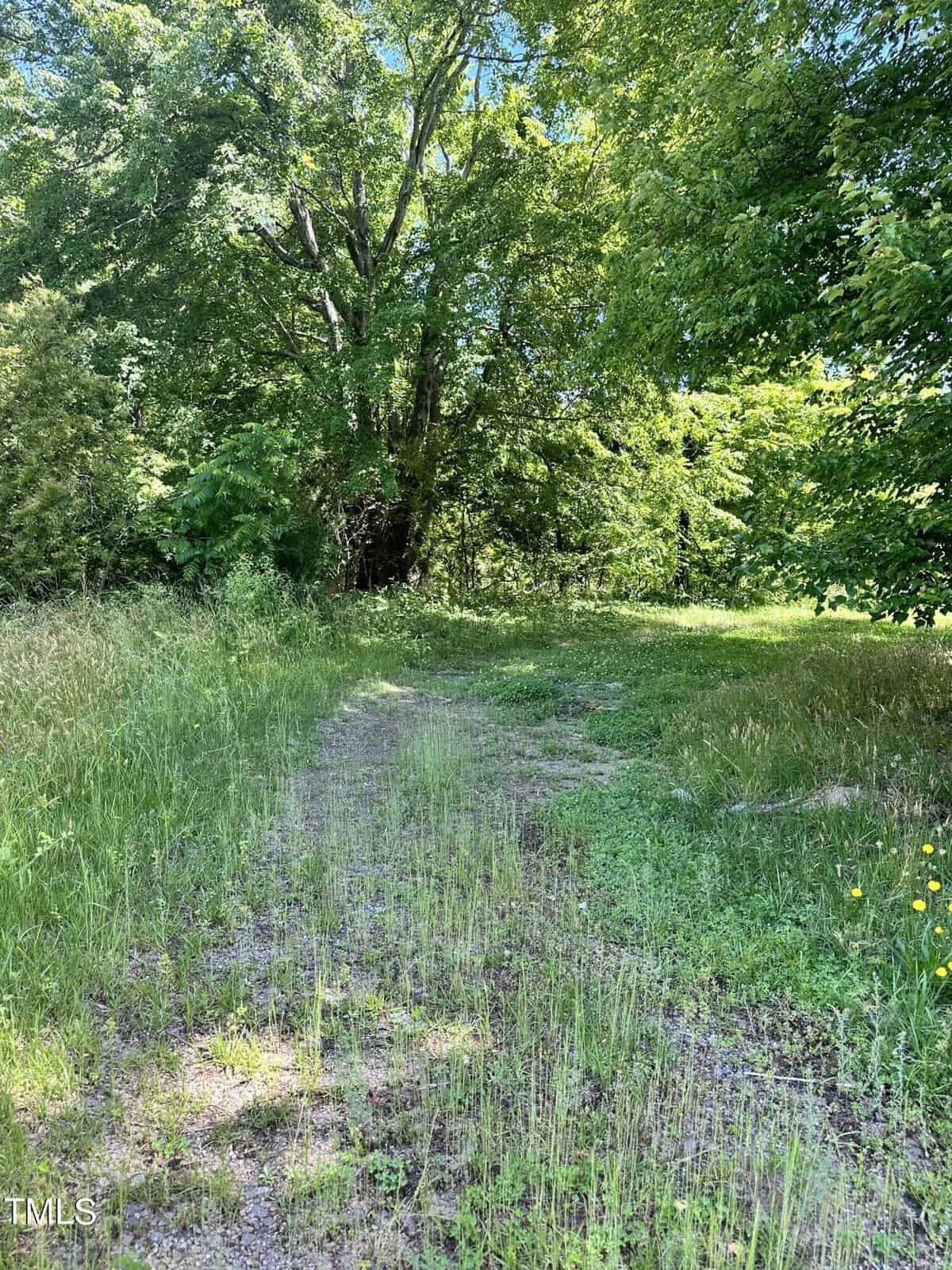A sunny forest clearing with a narrow, grassy path leading into dense, leafy trees. The sky is clear blue, and wildflowers dot the grass.