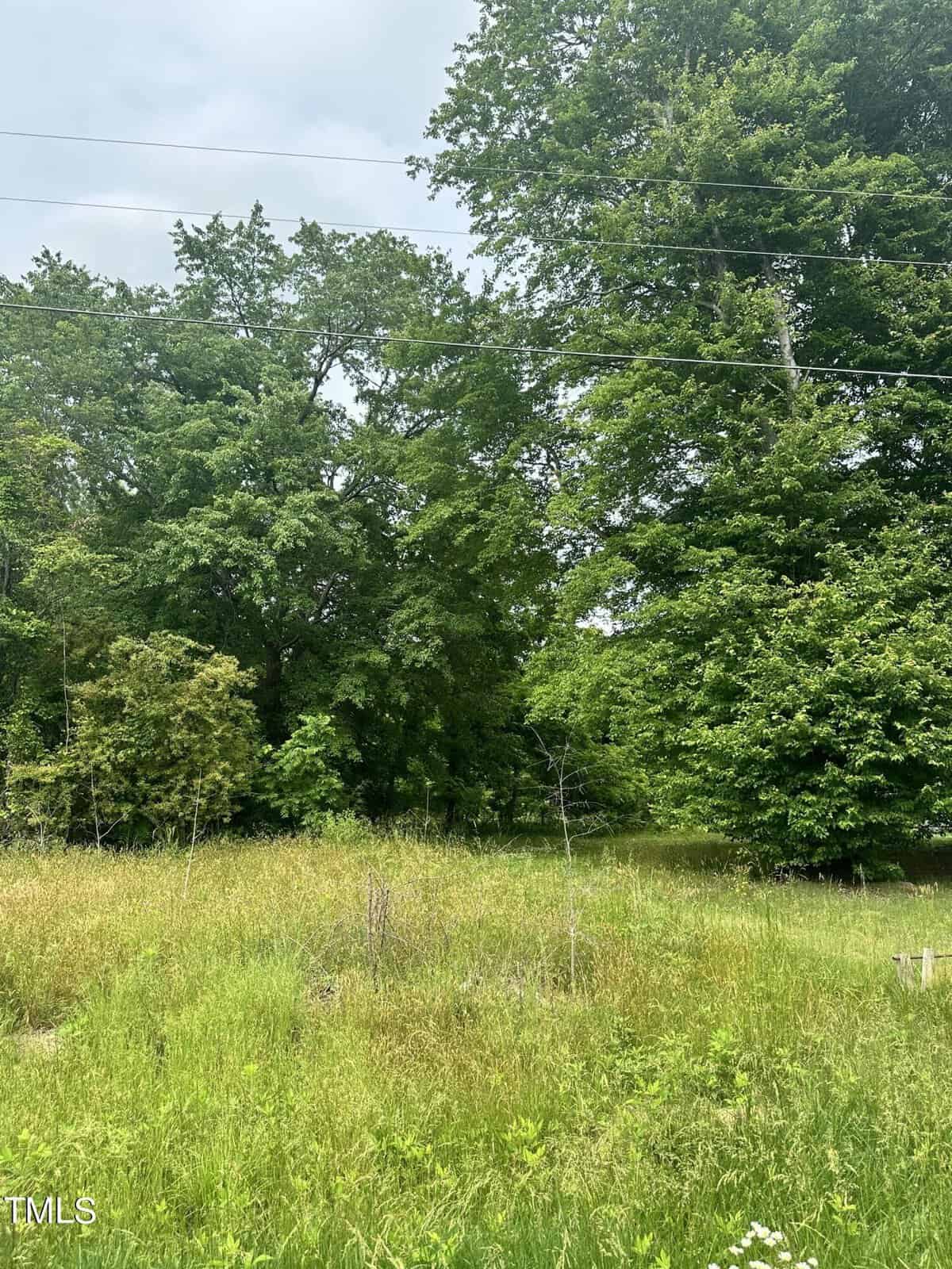 A lush, green landscape featuring tall trees and a grassy field under a partly cloudy sky. Power lines stretch across the upper portion of the image.