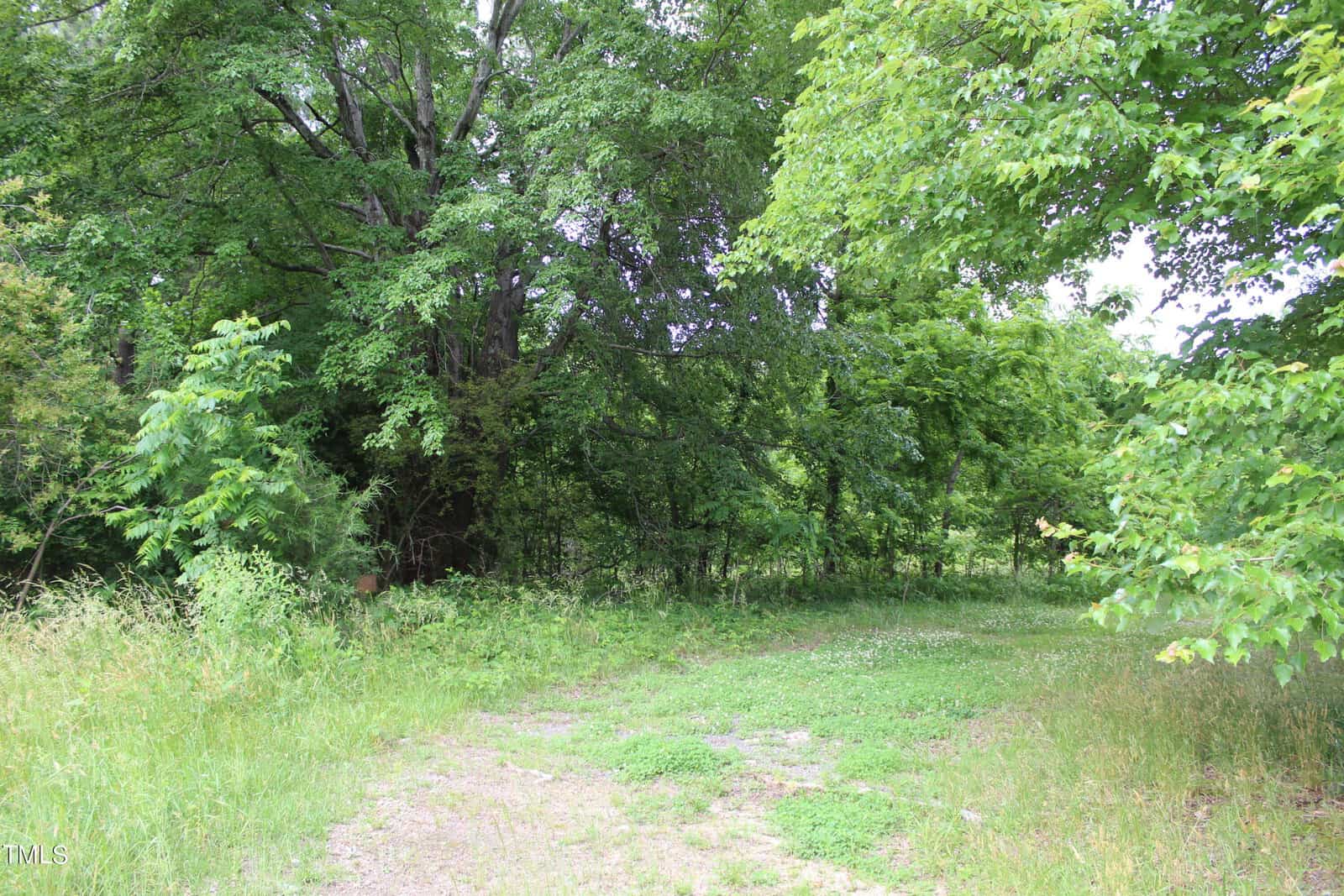 A lush, green forest with dense trees and a grassy pathway leading into the woodland on 6010 Horner Siding Road, Oxford. Sunlight filters through the leaves, creating a serene and inviting atmosphere.
