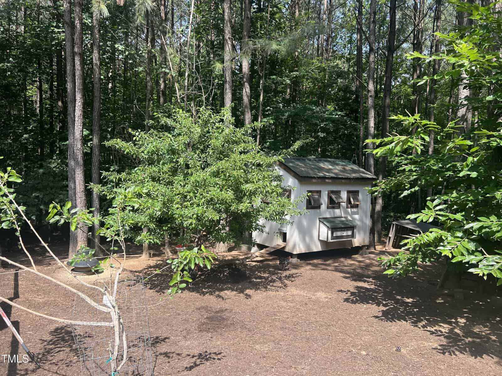 A small white shed with a green roof is nestled among tall trees in a wooded area. Sunlight filters through the foliage, casting dappled shadows on the ground. A wire fence partially encloses the space.