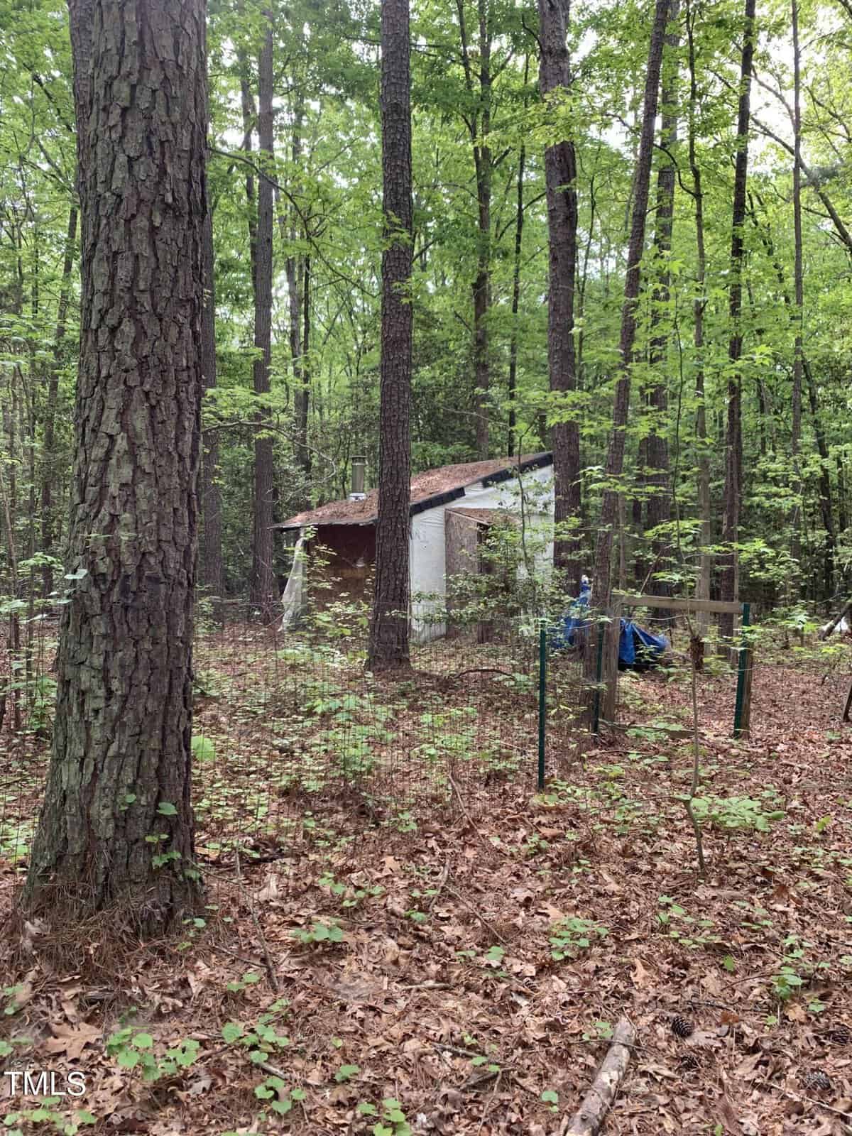 A small, rustic wooden shed with a faded red roof is nestled in a dense forest. The forest floor is covered with fallen leaves and small plants, and tall trees surround the shed. A black metal fence stands in the foreground among the trees.