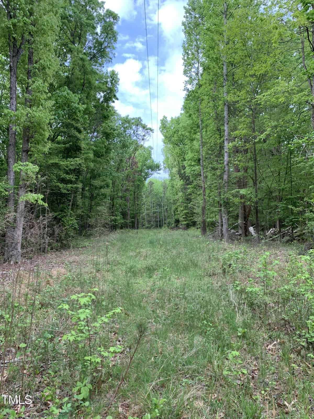 A lush, green forest trail with tall trees on either side, under a partly cloudy sky. Power lines run overhead through the center of the image, disappearing into the distance. The ground is covered with grass and small plants.