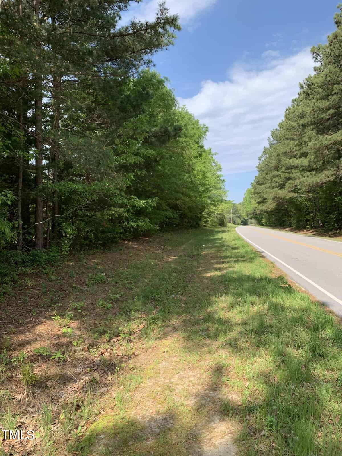 A rural road on a sunny day, bordered by a dense line of tall green trees and a grassy verge. Blue skies with scattered clouds are visible above. The road extends into the distance, creating a serene, peaceful setting.