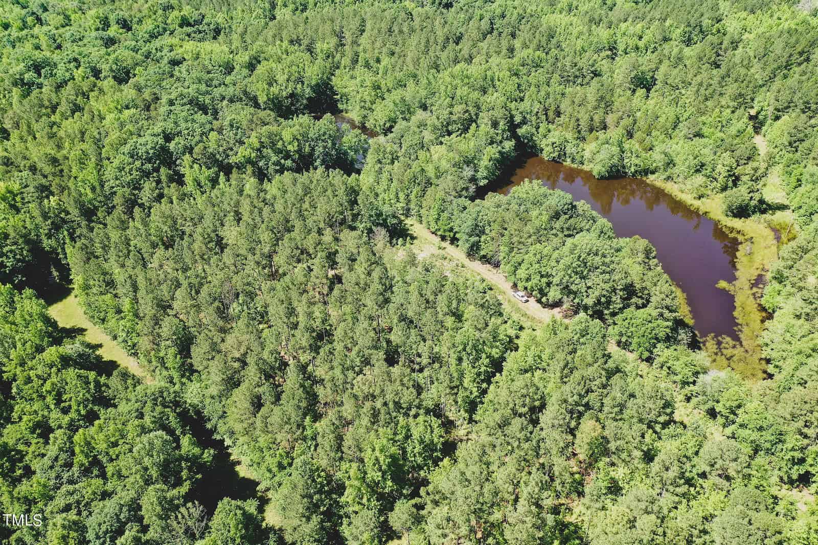 Aerial view of the lush green forest on 111 Acres Hobgood Road in Rougemont, with a small brownish pond to the right. The dense canopy covers most of the area, while a narrow clearing weaves through the trees near the pond.
