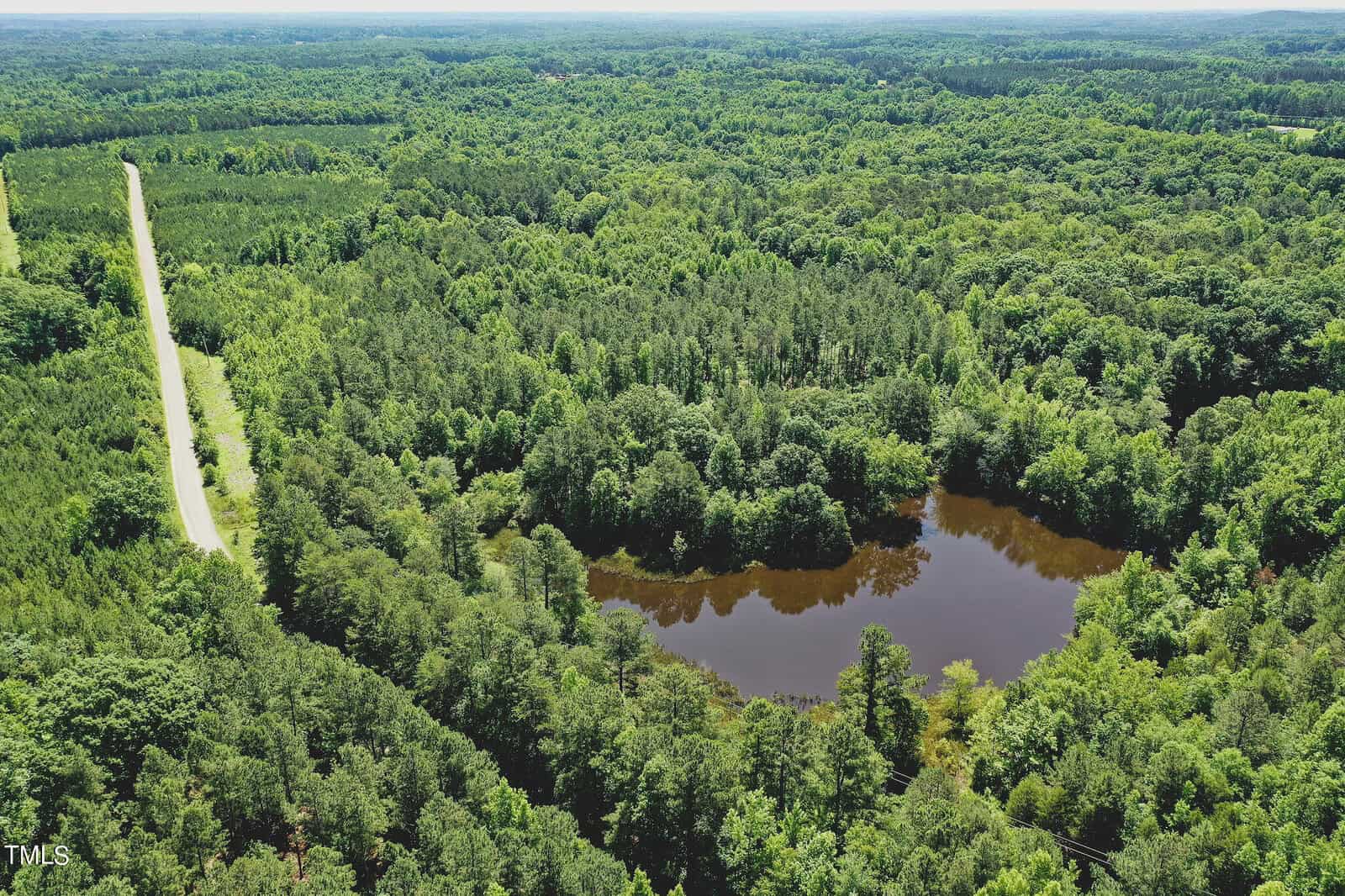 Aerial view of a dense forest landscape with a brown-hued pond in the center. A narrow, straight road runs along the left side, dividing the lush greenery. The sky is clear, giving the scene a bright, natural look.