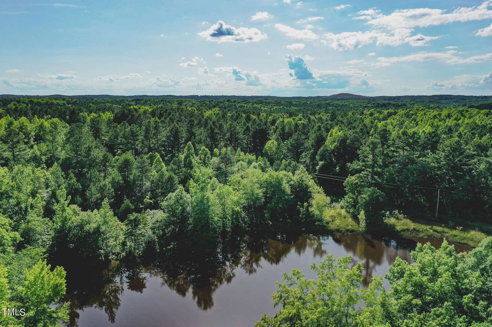 Aerial view of a lush green forest with a small reflective pond surrounded by trees. The horizon shows rolling hills under a sky with scattered clouds.