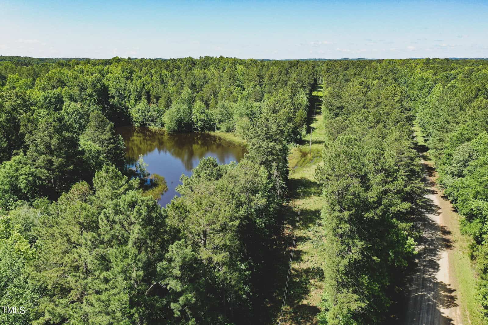 Aerial view of a lush green forest with a small pond in the center. A dirt road runs through the trees on the right. The sky is clear and blue.