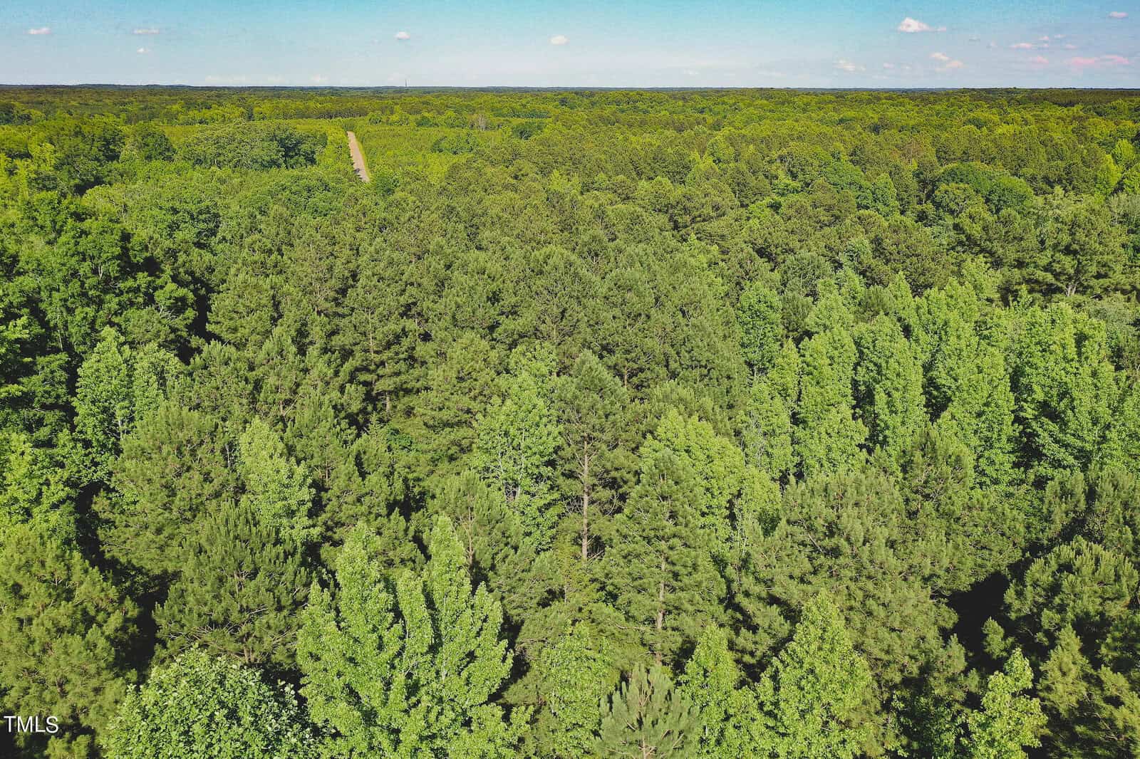 Aerial view of a lush, green forest with dense tree coverage extending to the horizon. A narrow dirt path cuts through the trees, under a clear blue sky with scattered clouds.