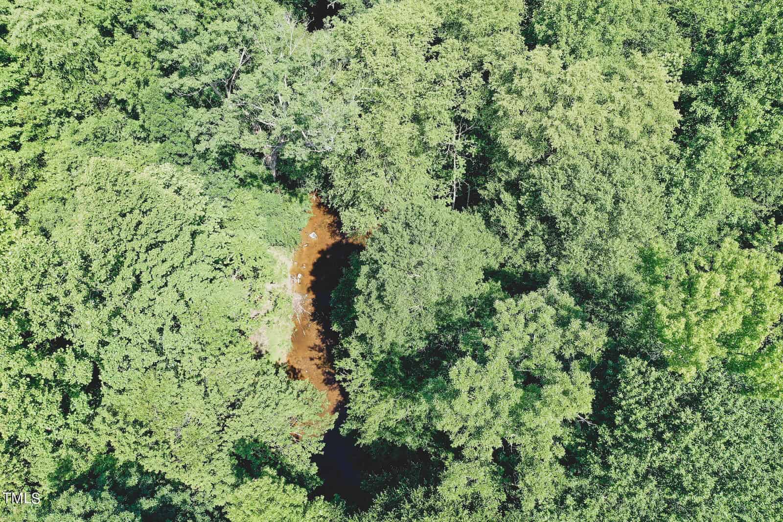 Aerial view of a lush green forest with dense tree canopy. A narrow, winding brown river cuts through the foliage, partially visible among the trees. Sunlight creates variations in the shades of green, highlighting the texture of the leaves.