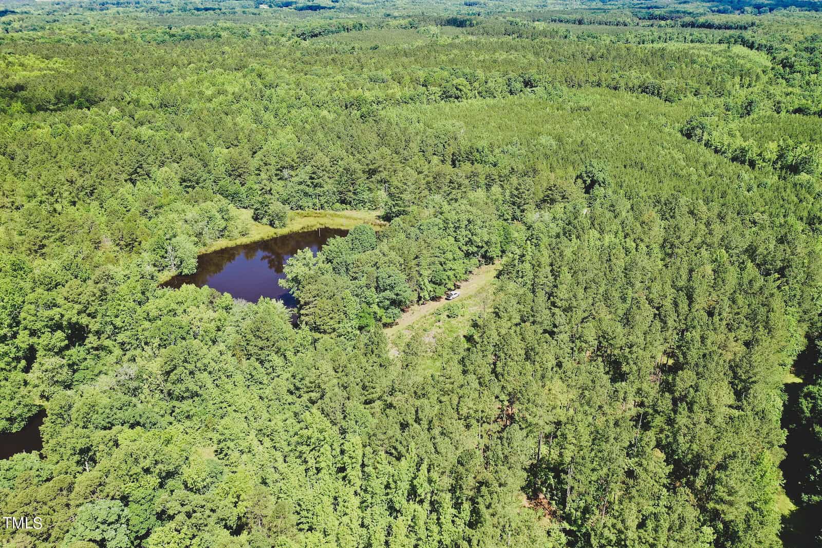 Aerial view of a lush, green forest with a small pond in the center. Dense trees stretch across the landscape, creating a continuous canopy under a clear blue sky.