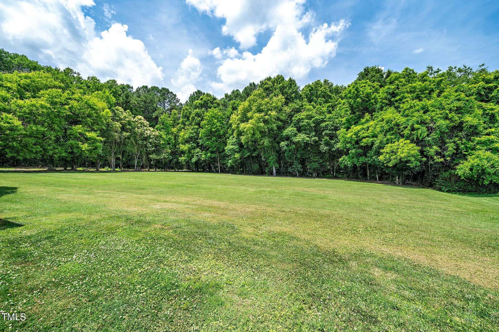 A vast, open grassy field stretches out under a partly cloudy sky, bordered by dense, lush green trees. The sun casts gentle shadows, highlighting the serene and natural beauty of the landscape.
