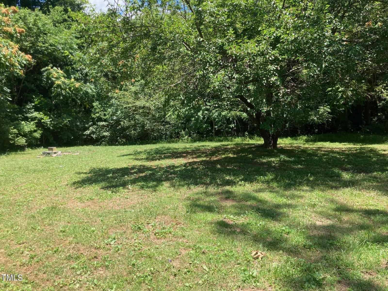 A lush green field with a large, leafy tree casting a shadow on the grass. The background is filled with tall, dense trees, and the sky is partly visible with a hint of blue.