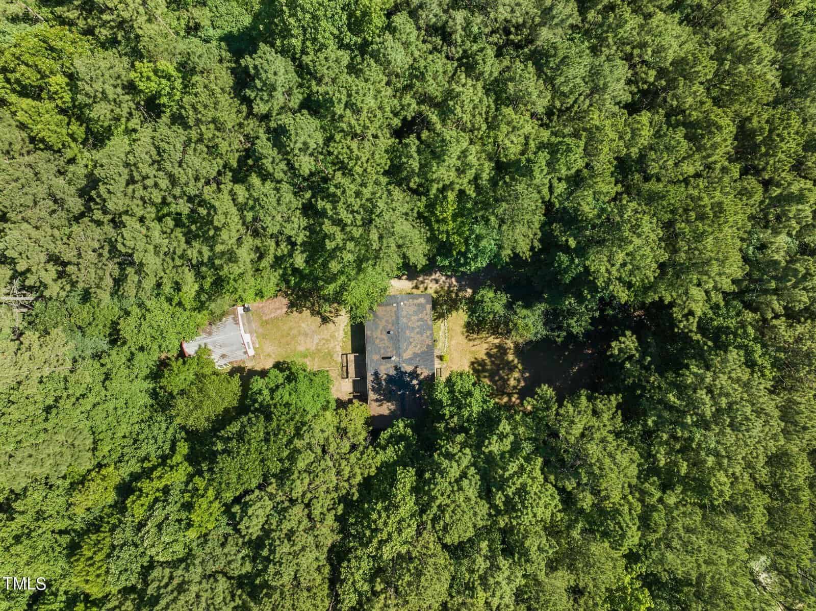 Aerial view of a densely forested area with a small clearing in the center, revealing a solitary rectangular building. A narrow pathway leads to the building. Surrounding trees and foliage are lush and green.