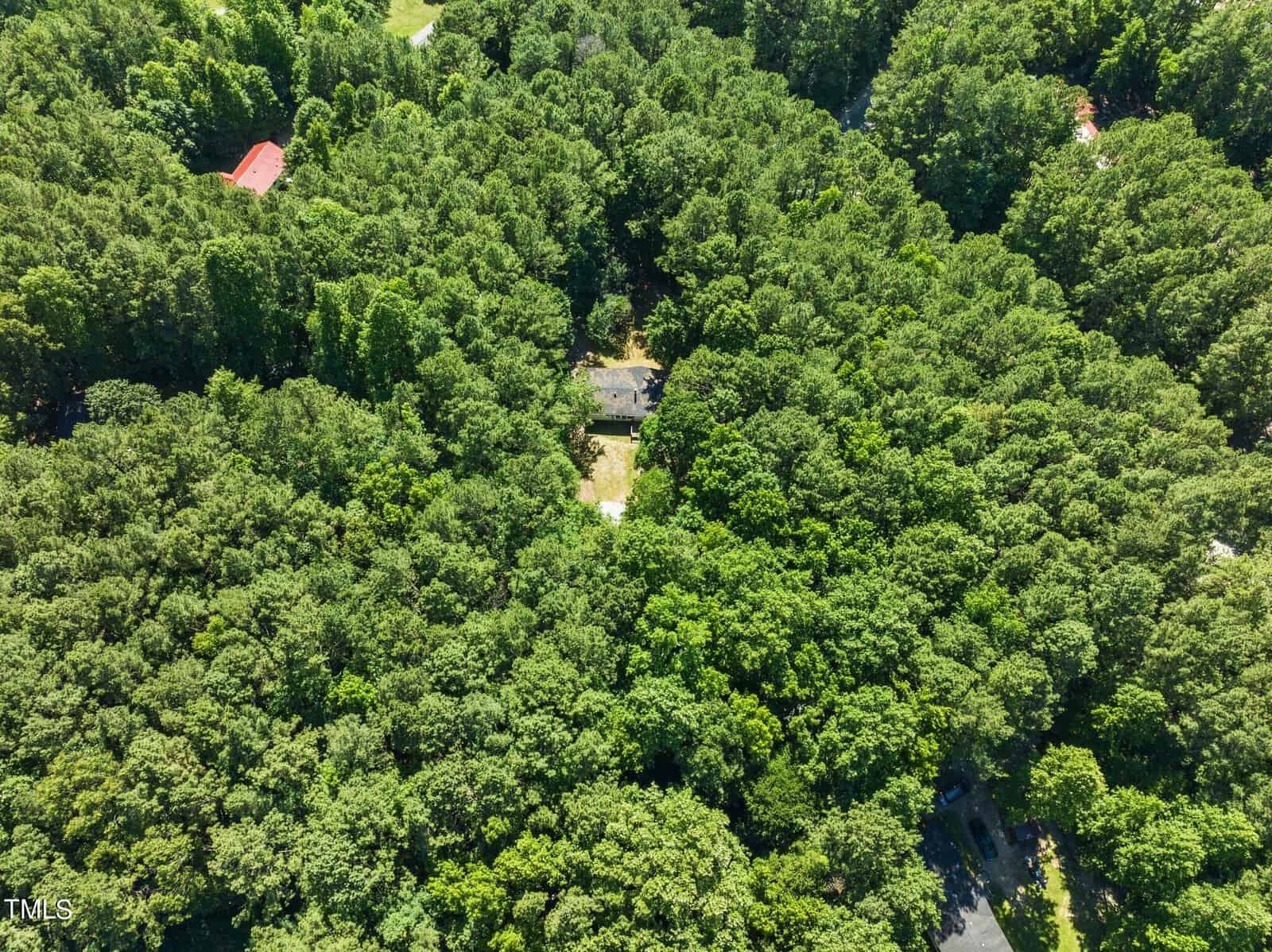 Aerial view of a dense forest with a small house barely visible surrounded by trees. A few rooftops can be seen peeking through the foliage in the background. The scene is lush and predominantly green.