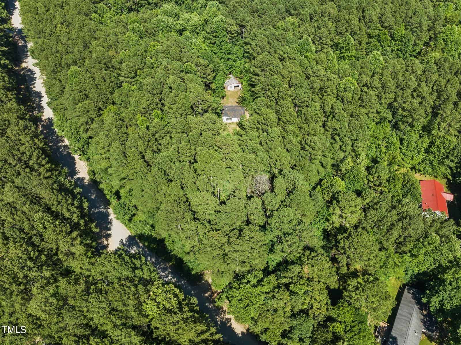 Aerial view of a dense forest with a small house visible among the trees. A winding road is on the left, and a red-roofed building is partially visible on the right.