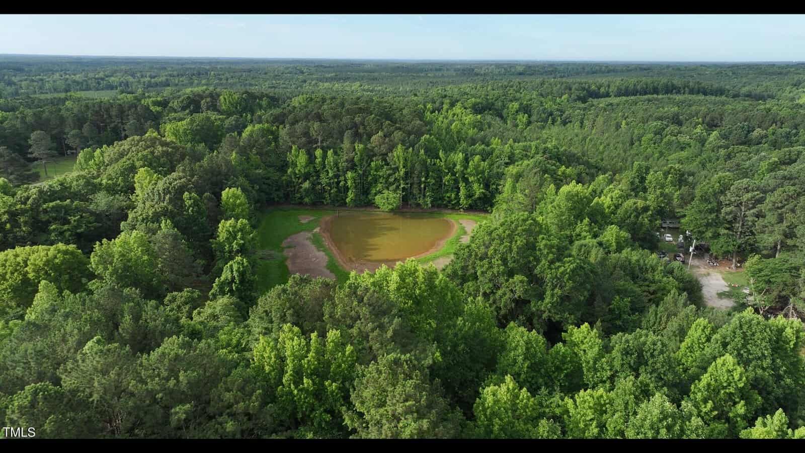 Aerial view of a forested landscape with dense green trees surrounding a small, circular brown pond. A clear sky is visible above the expansive woodland.