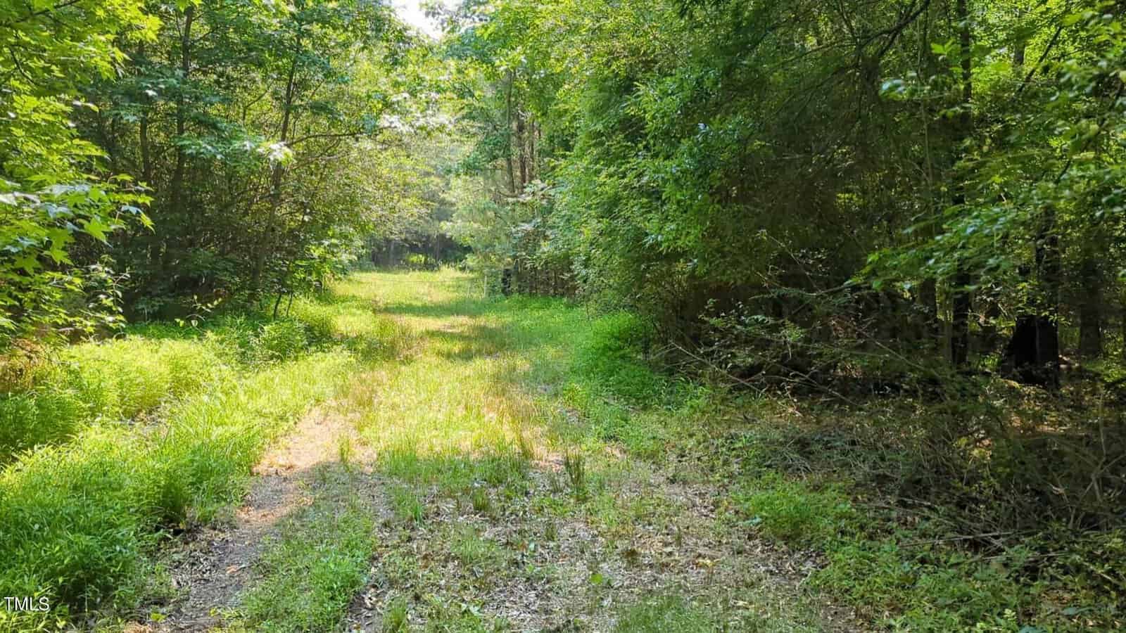 A sunlit forest path near 705 New Commerce Road in Oxford is surrounded by lush green foliage and tall trees. Sunlight filters through the canopy, illuminating the grassy trail that winds into the distance. The scene is tranquil and inviting, offering a serene escape from the bustle.